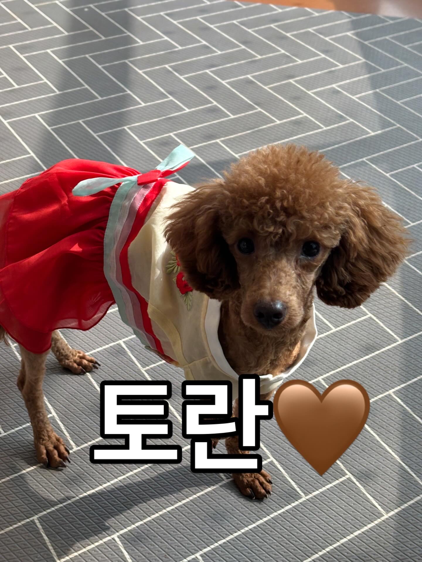 9d44a1de5a47a5da29294c85e2cac9cd_1770790110_0951.jpg 9d44a1de5a47a5da29294c85e2cac9cd_1770790110_0951.jpg