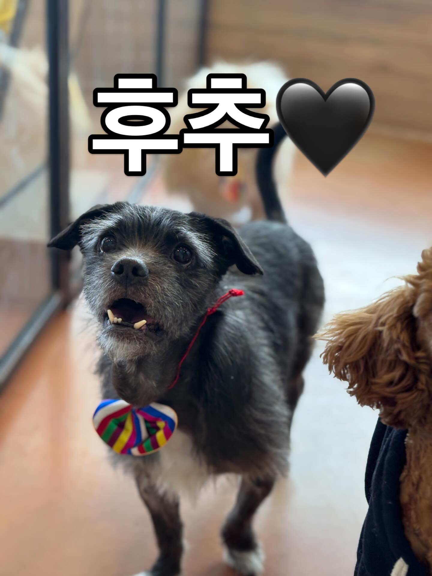 9d44a1de5a47a5da29294c85e2cac9cd_1770790114_4078.jpg 9d44a1de5a47a5da29294c85e2cac9cd_1770790114_4078.jpg