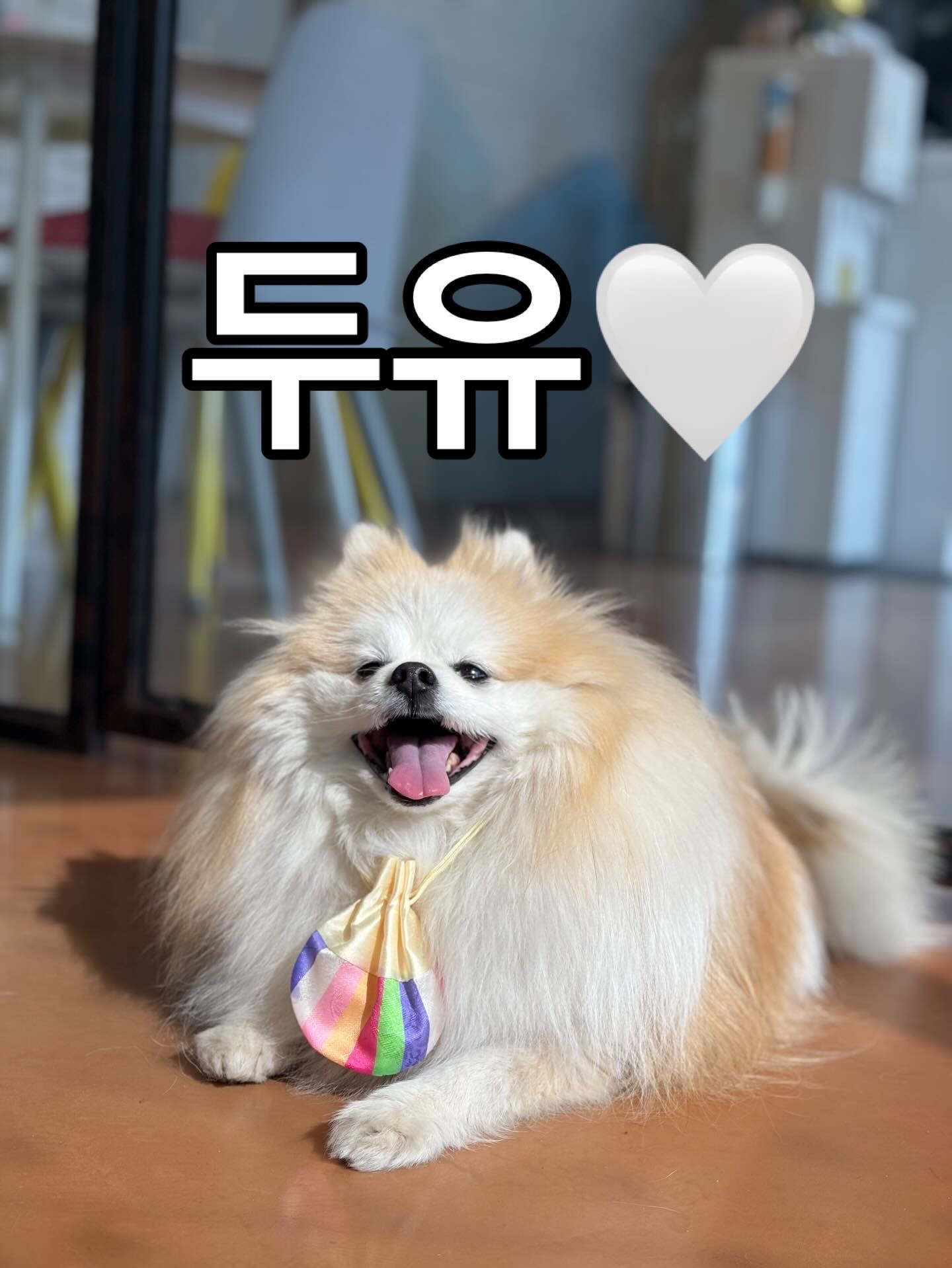 9d44a1de5a47a5da29294c85e2cac9cd_1770790115_9147.jpg 9d44a1de5a47a5da29294c85e2cac9cd_1770790115_9147.jpg