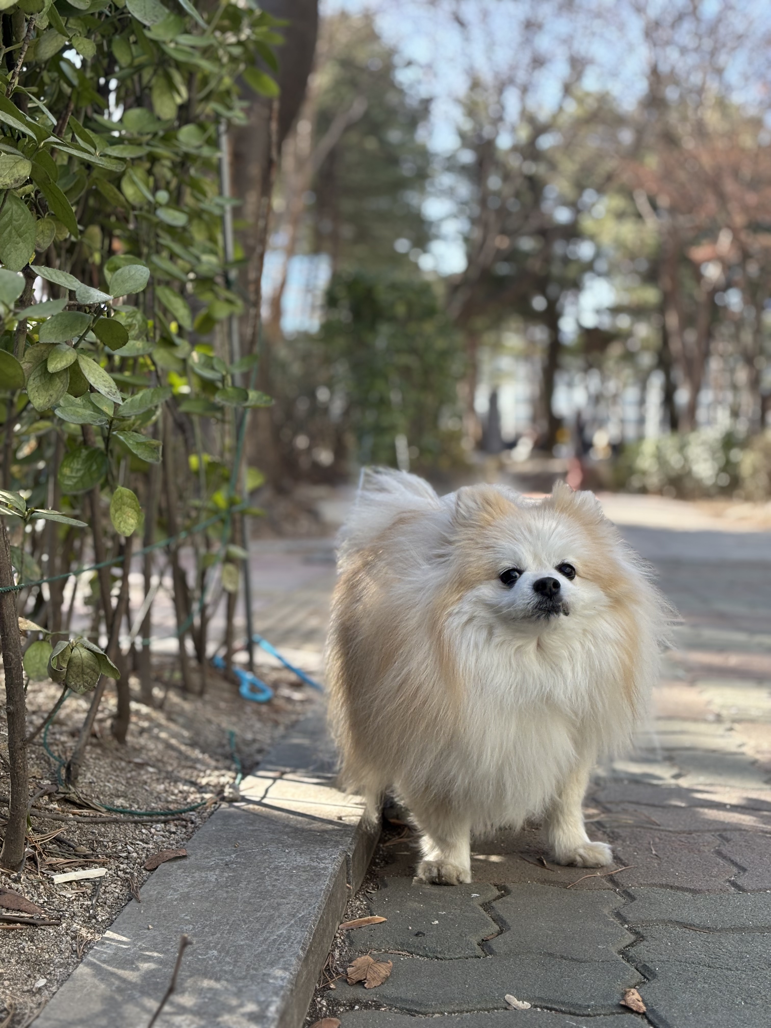 aa521b6c20a24210fc1d402b6d6b0b86_1772003725_3481.jpg aa521b6c20a24210fc1d402b6d6b0b86_1772003725_3481.jpg