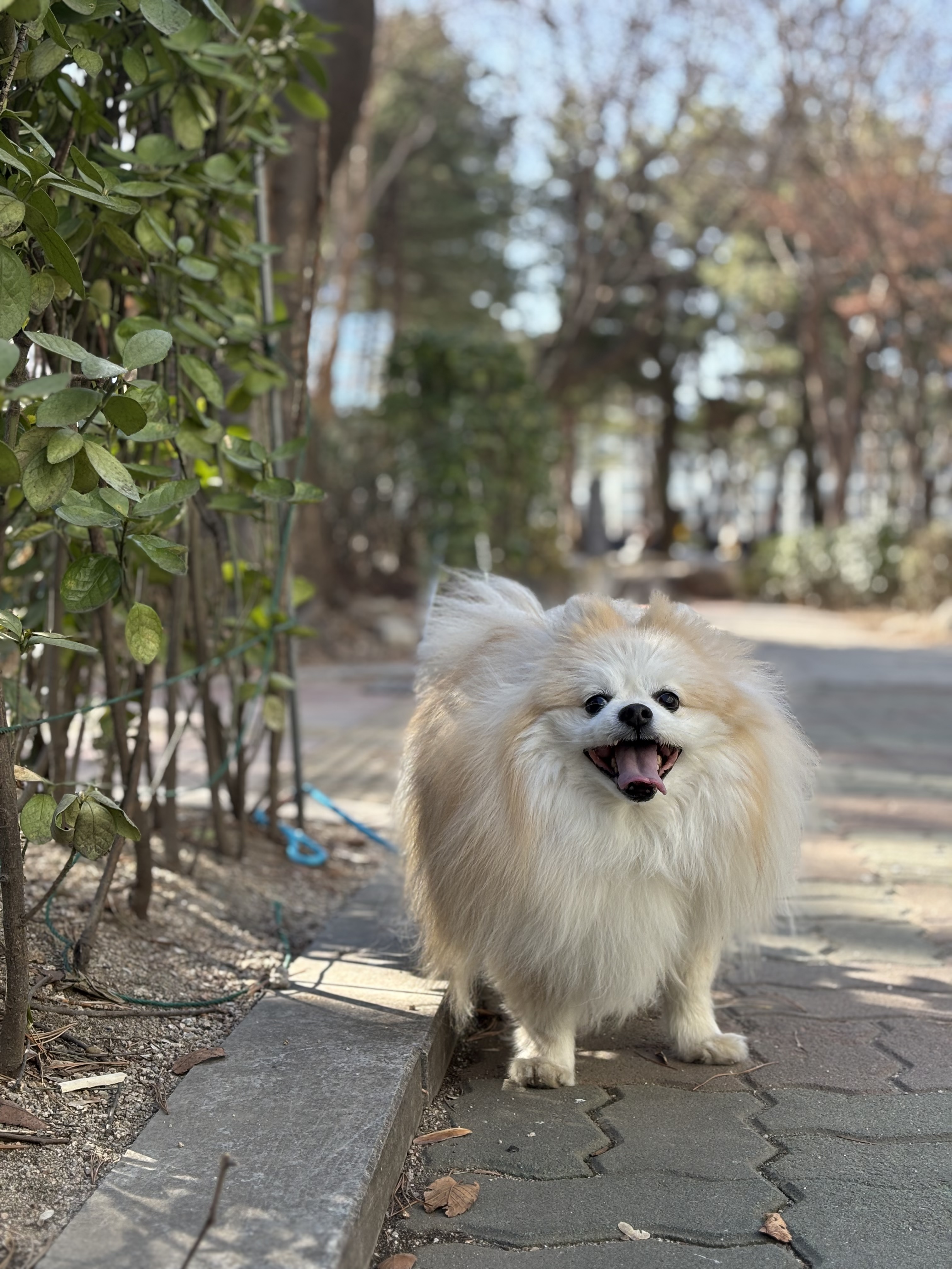 aa521b6c20a24210fc1d402b6d6b0b86_1772003726_9105.jpg aa521b6c20a24210fc1d402b6d6b0b86_1772003726_9105.jpg