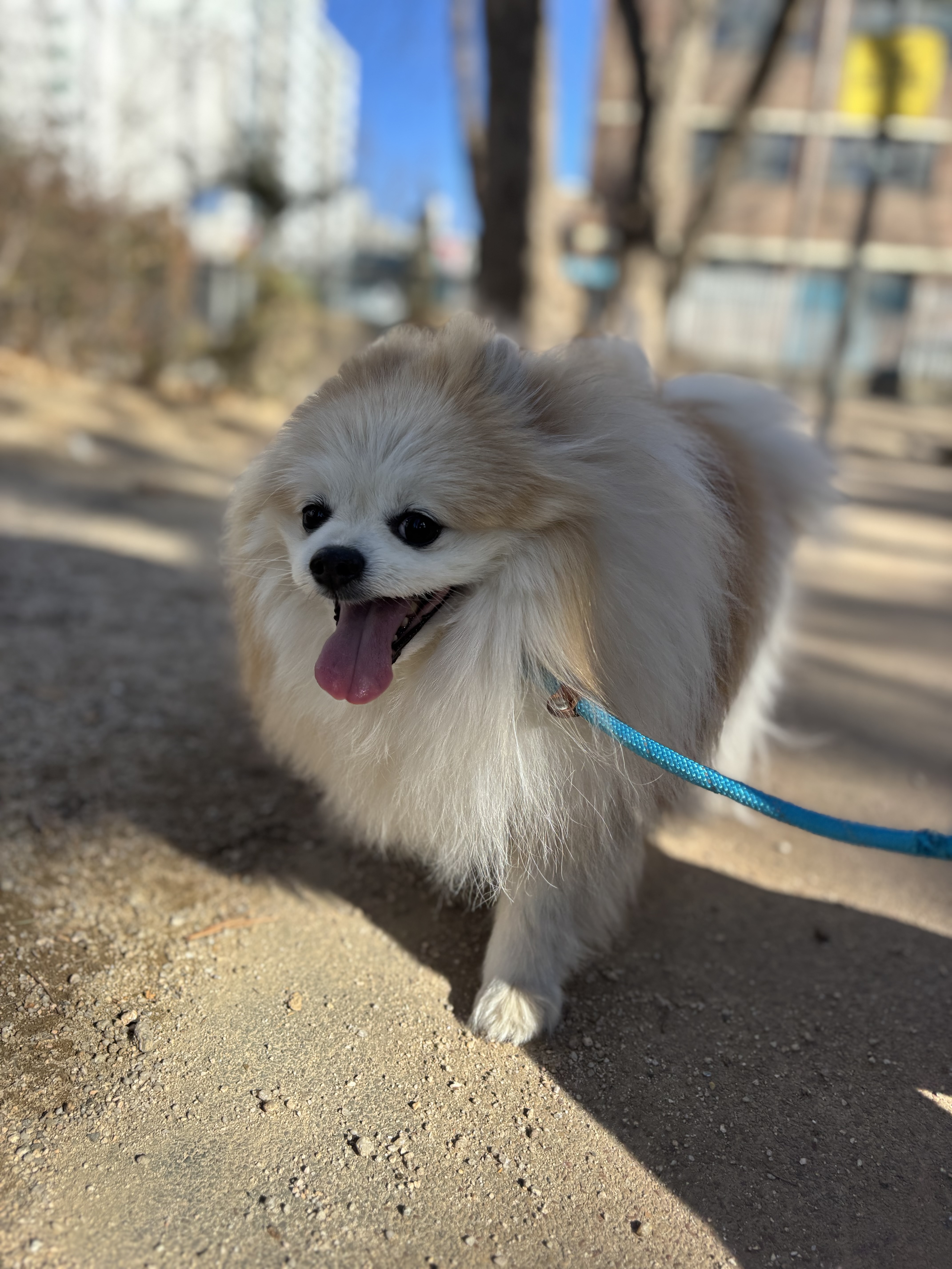 aa521b6c20a24210fc1d402b6d6b0b86_1772003730_2017.jpg aa521b6c20a24210fc1d402b6d6b0b86_1772003730_2017.jpg