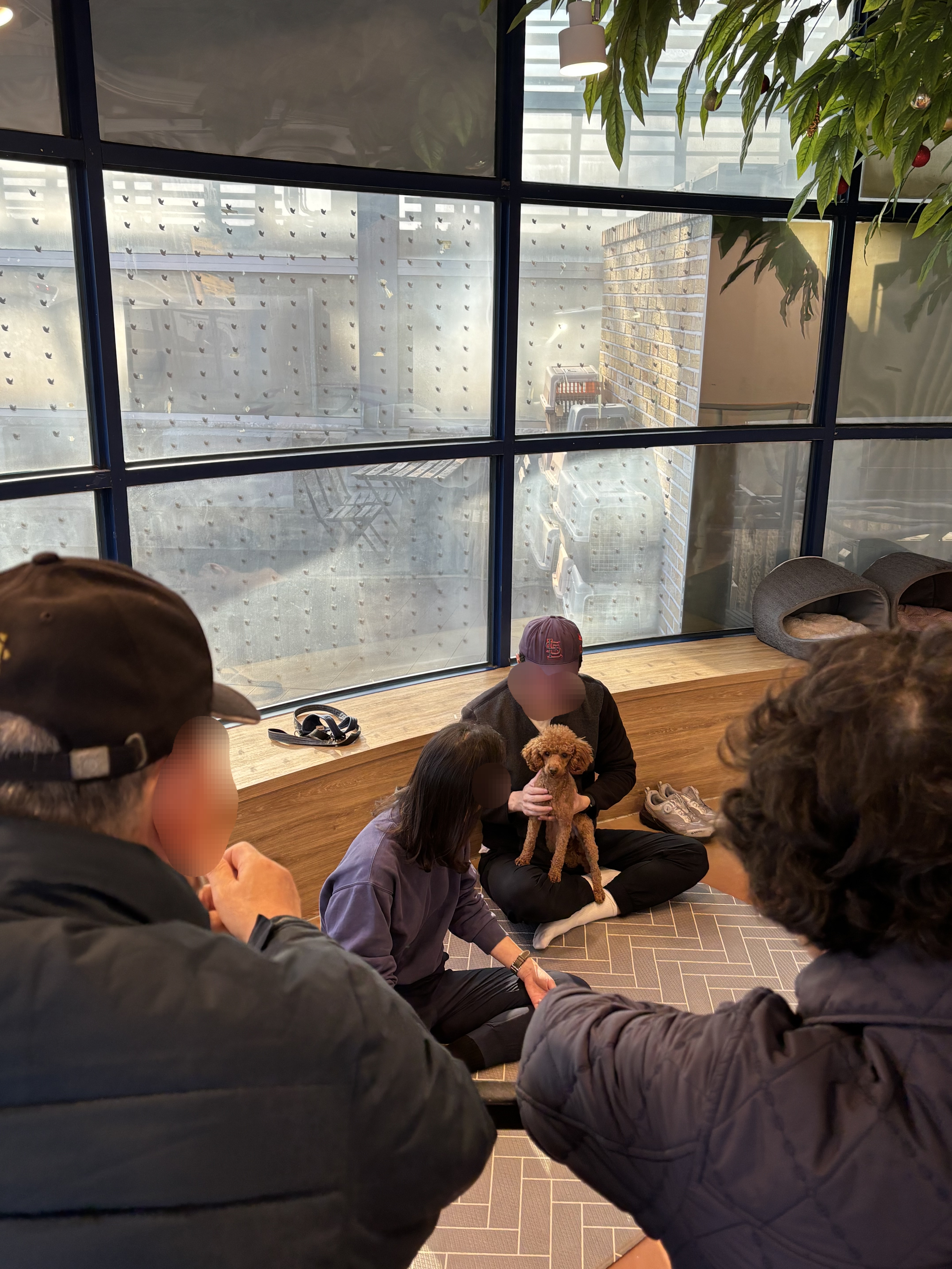 a3095ea477a9b02a3a2f1233b971ad7d_1774079811_5762.jpg a3095ea477a9b02a3a2f1233b971ad7d_1774079811_5762.jpg