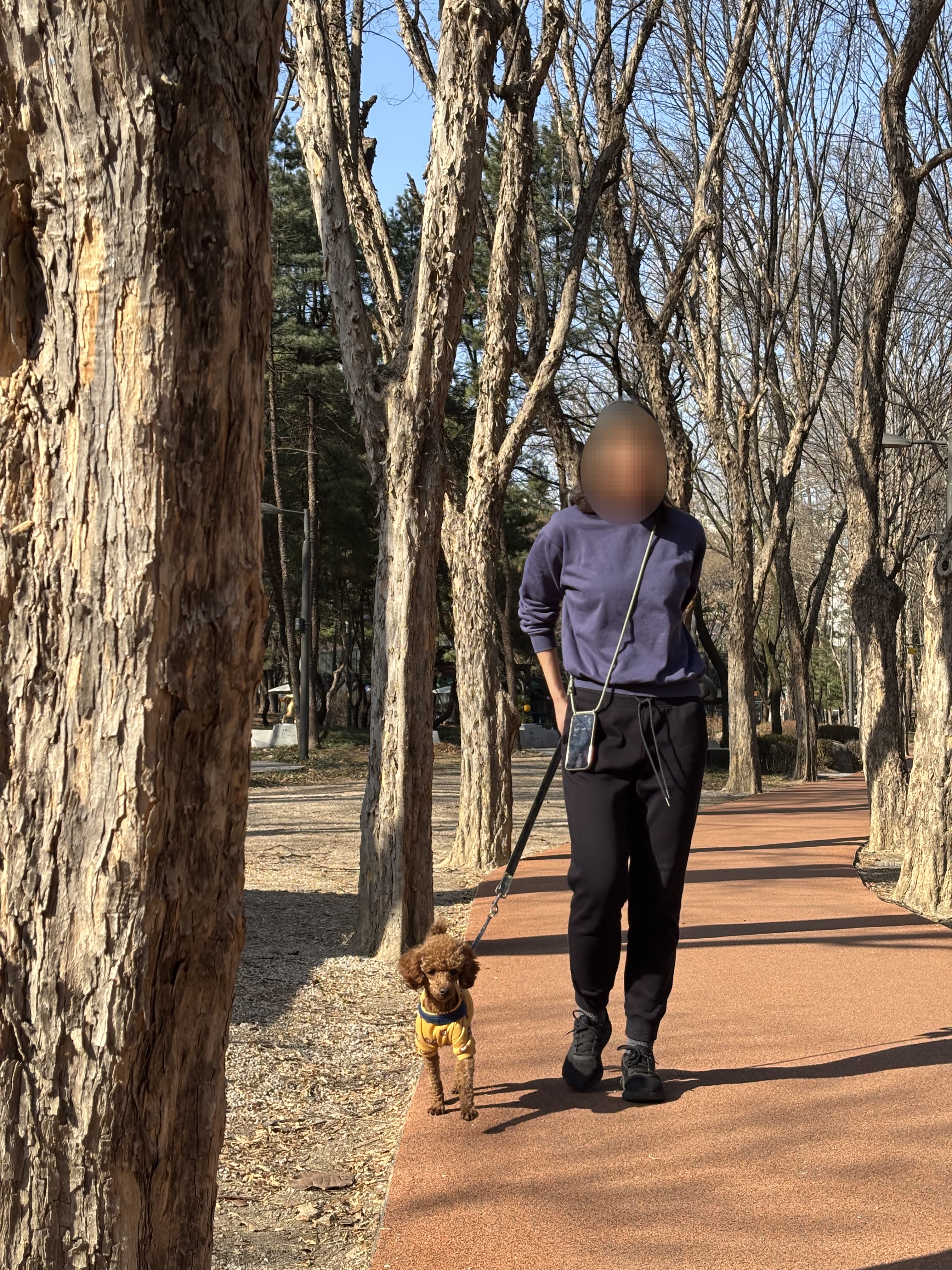 a3095ea477a9b02a3a2f1233b971ad7d_1774079816_7324.jpg a3095ea477a9b02a3a2f1233b971ad7d_1774079816_7324.jpg