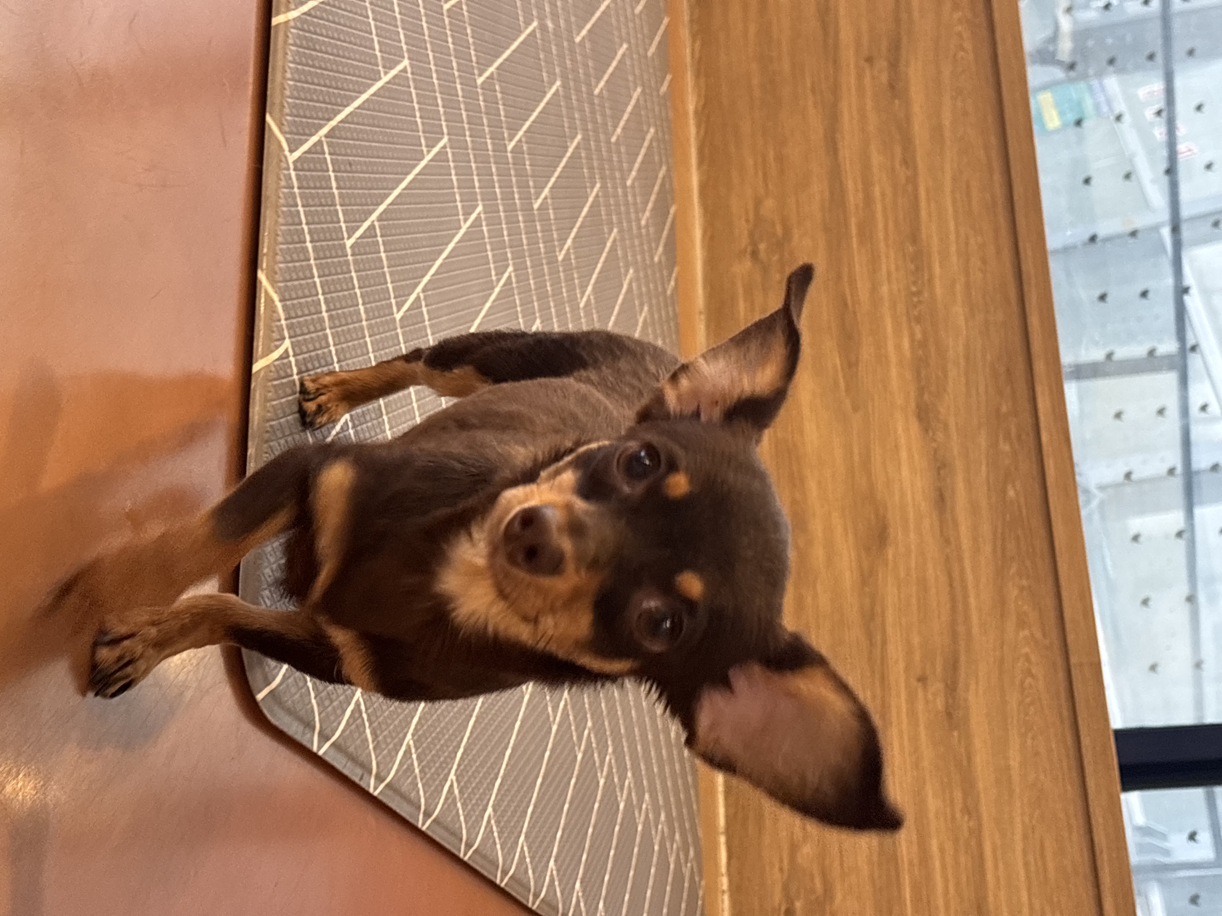 a54486389fa5229851a7482415abef5e_1774947987_5863.jpg a54486389fa5229851a7482415abef5e_1774947987_5863.jpg