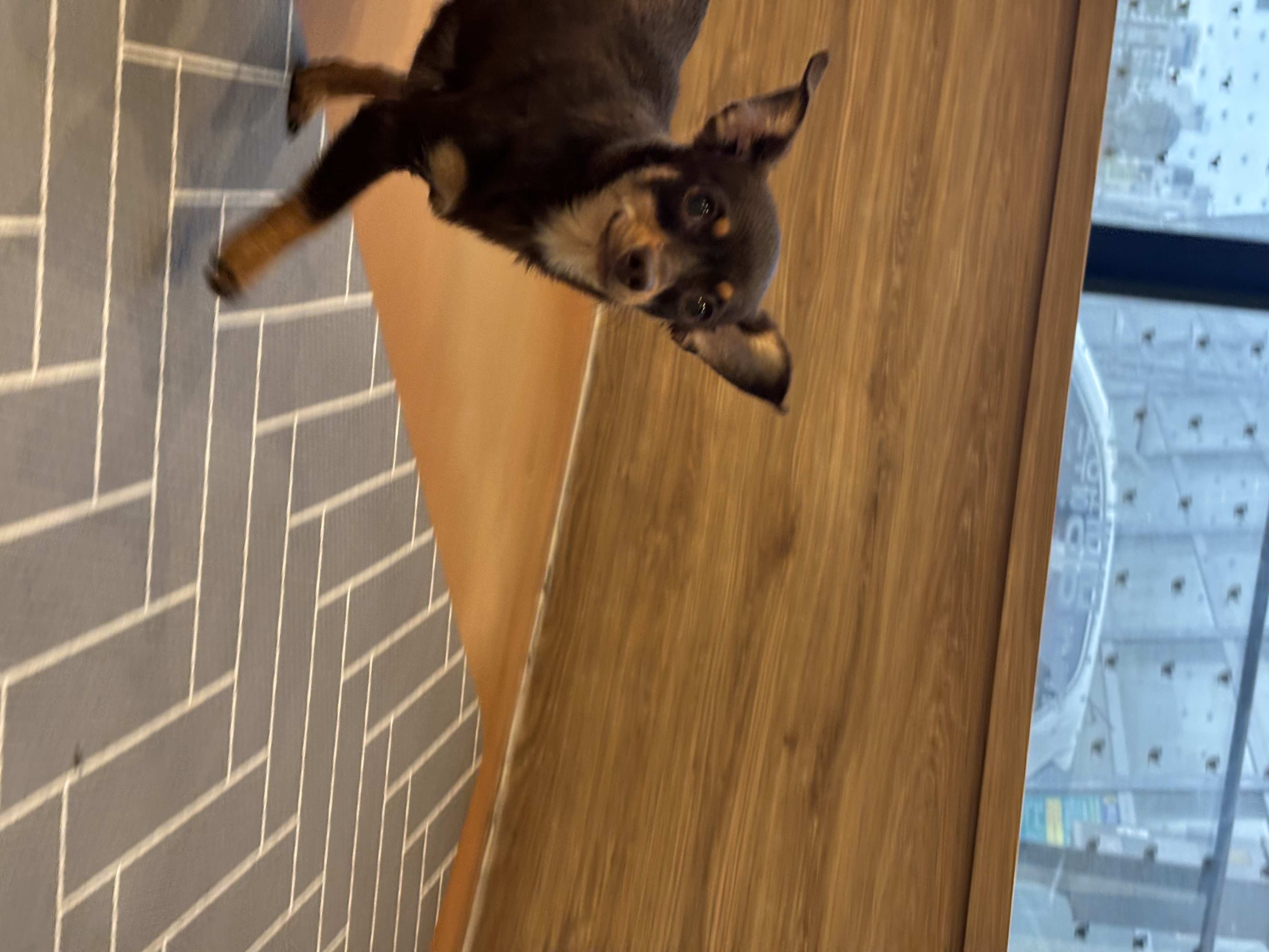 a54486389fa5229851a7482415abef5e_1774947993_4704.jpg a54486389fa5229851a7482415abef5e_1774947993_4704.jpg