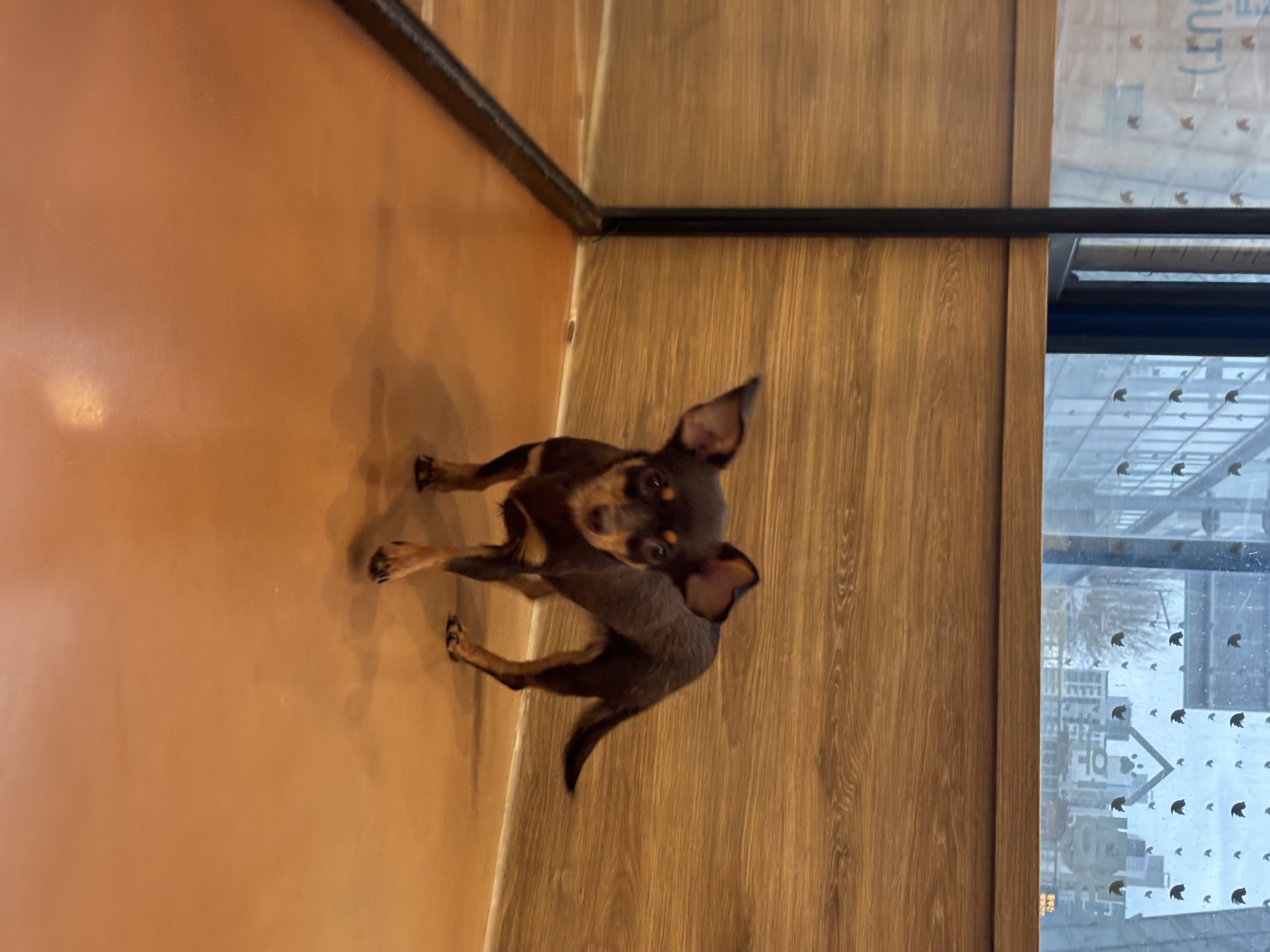 a54486389fa5229851a7482415abef5e_1774947998_2012.jpg a54486389fa5229851a7482415abef5e_1774947998_2012.jpg