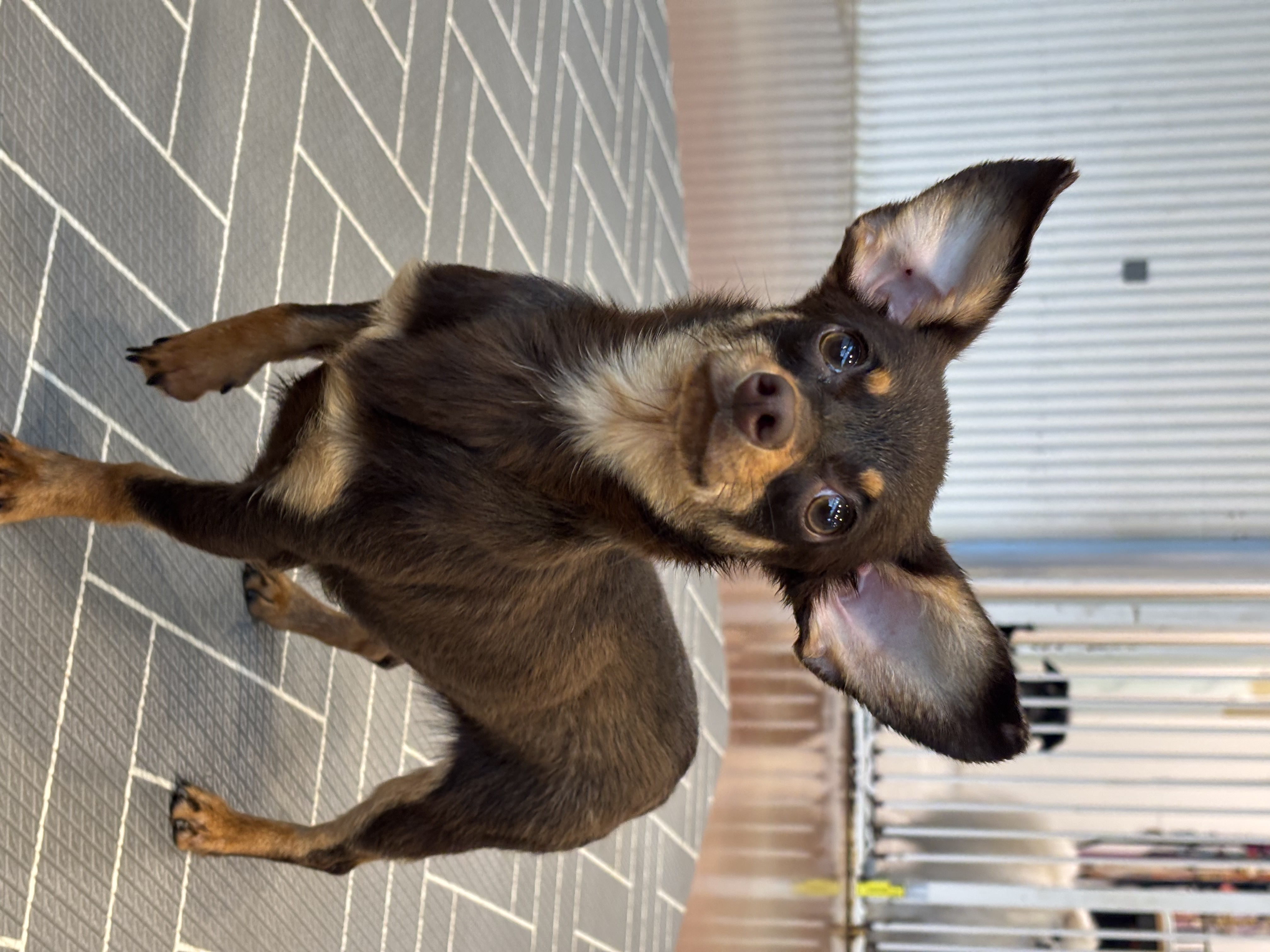 a54486389fa5229851a7482415abef5e_1774948000_9704.jpg a54486389fa5229851a7482415abef5e_1774948000_9704.jpg