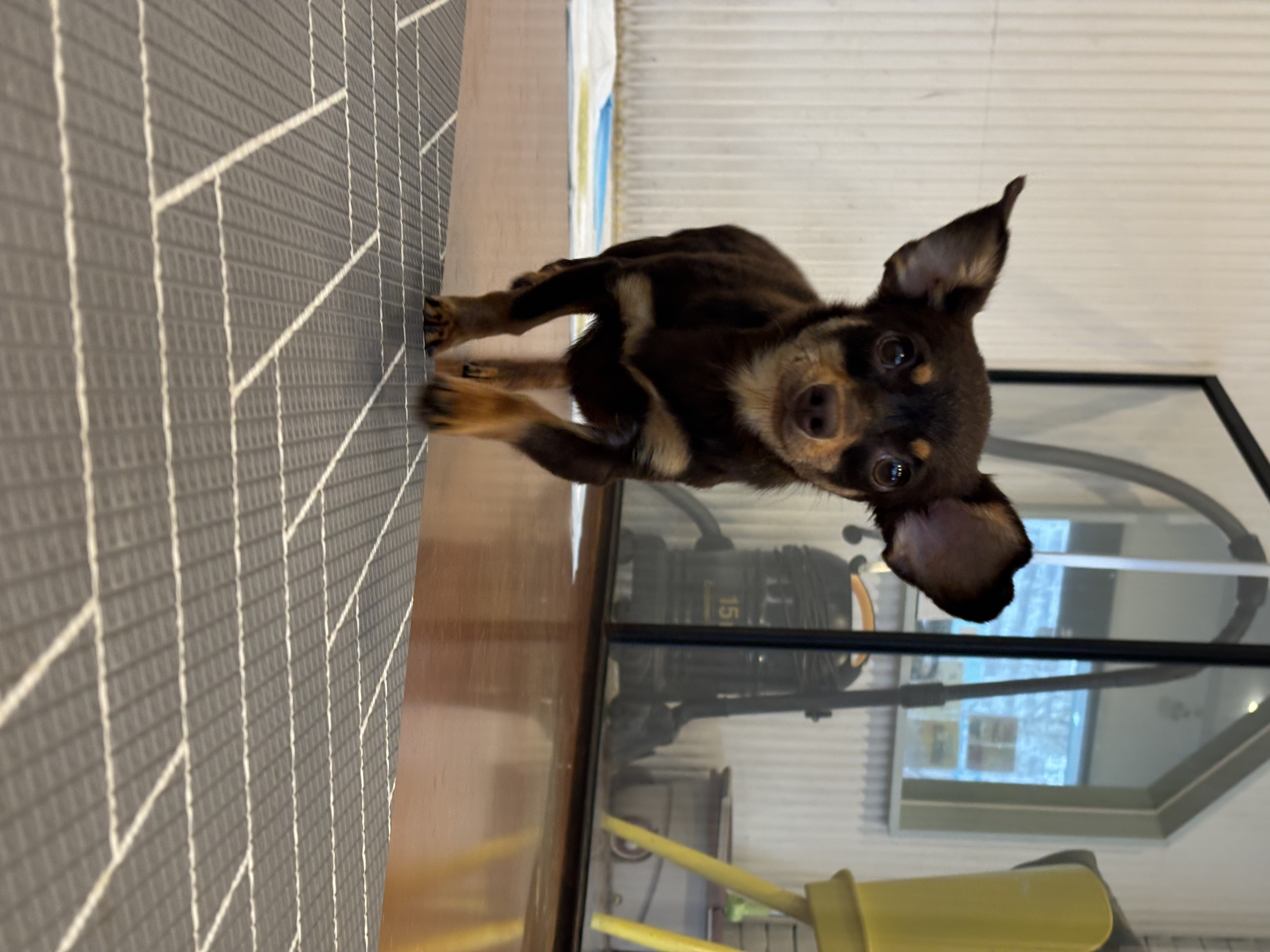 a54486389fa5229851a7482415abef5e_1774948005_4717.jpg a54486389fa5229851a7482415abef5e_1774948005_4717.jpg