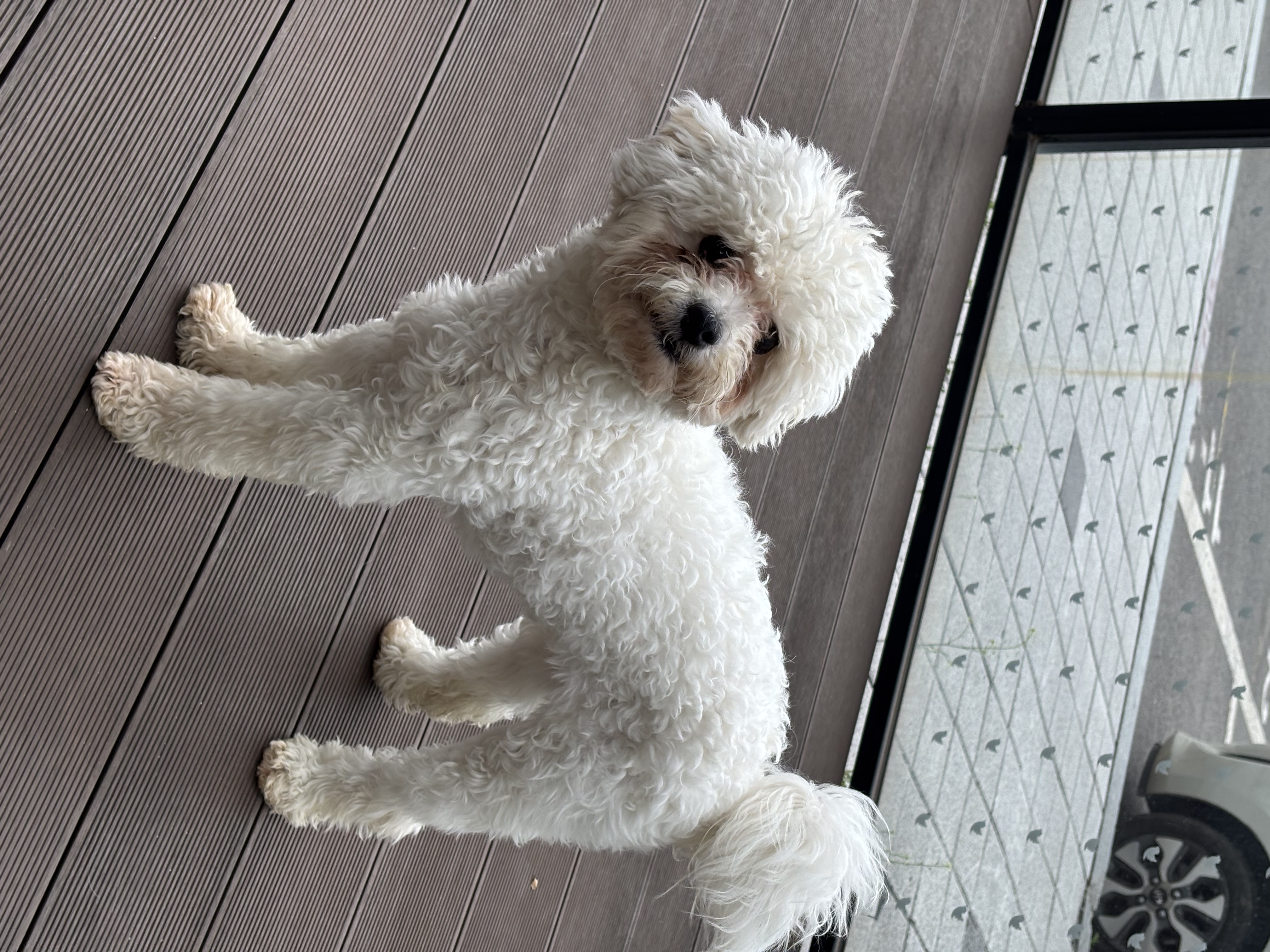 a54486389fa5229851a7482415abef5e_1774948146_3291.jpg a54486389fa5229851a7482415abef5e_1774948146_3291.jpg