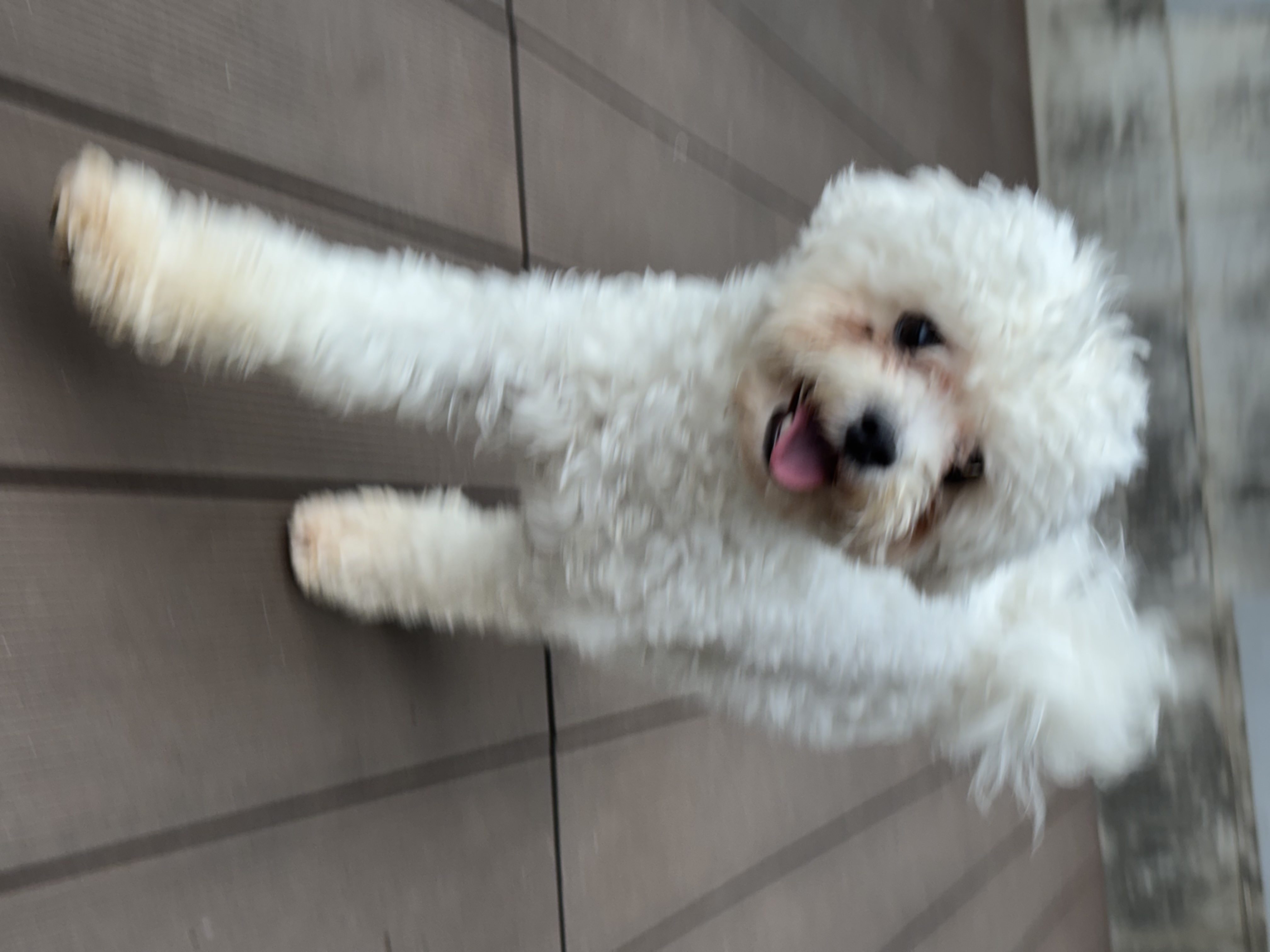 a54486389fa5229851a7482415abef5e_1774948149_0993.jpg a54486389fa5229851a7482415abef5e_1774948149_0993.jpg