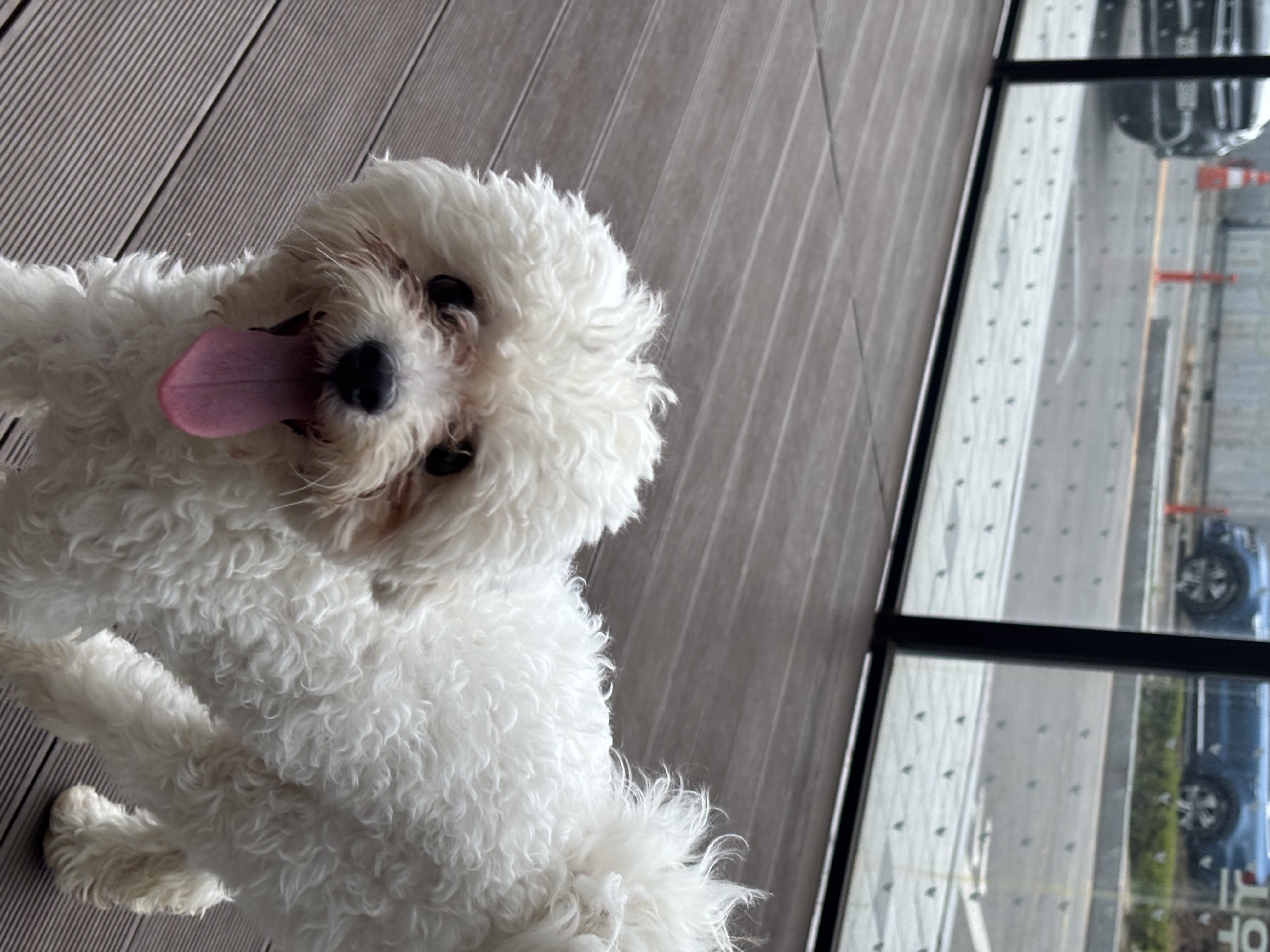 a54486389fa5229851a7482415abef5e_1774948152_3944.jpg a54486389fa5229851a7482415abef5e_1774948152_3944.jpg