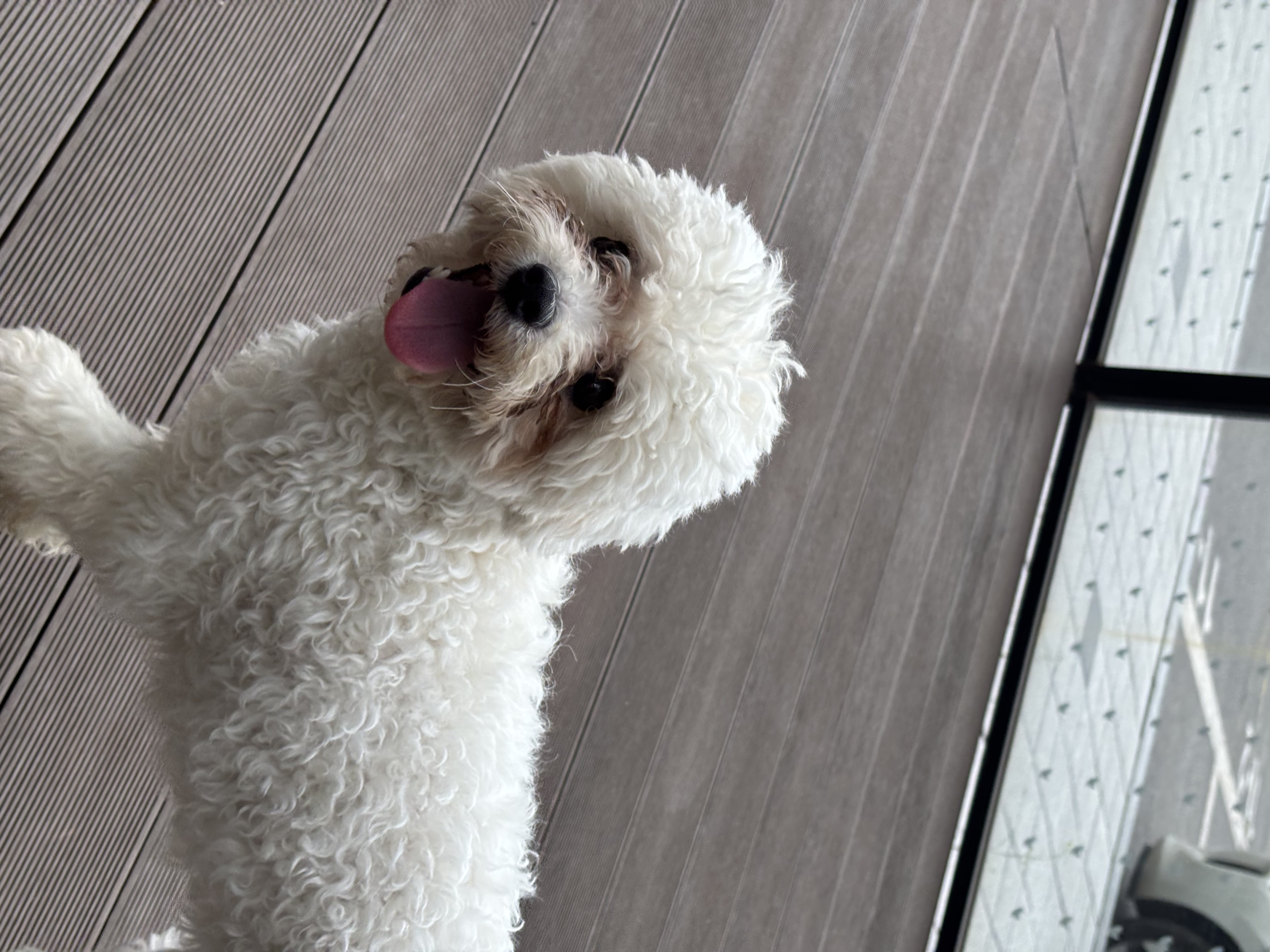 a54486389fa5229851a7482415abef5e_1774948154_1984.jpg a54486389fa5229851a7482415abef5e_1774948154_1984.jpg