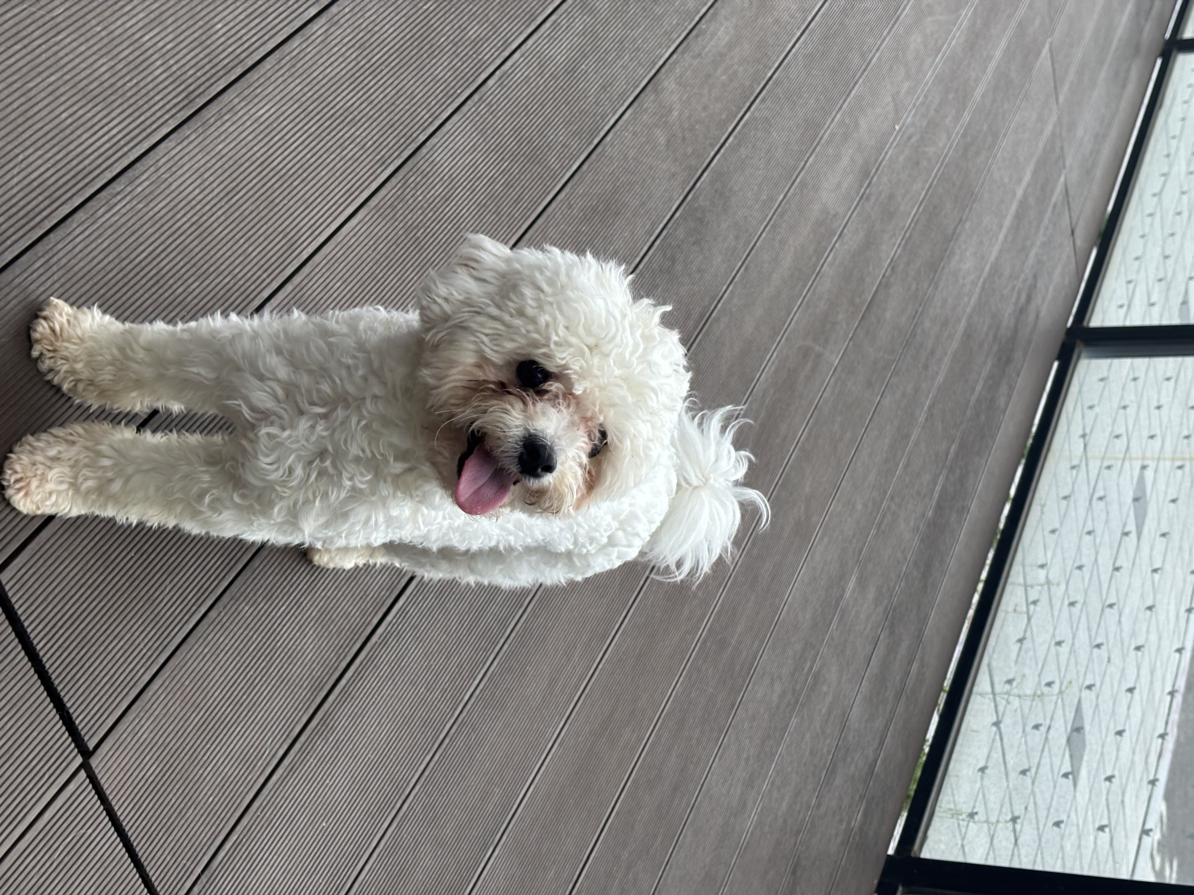 a54486389fa5229851a7482415abef5e_1774948158_8055.jpg a54486389fa5229851a7482415abef5e_1774948158_8055.jpg