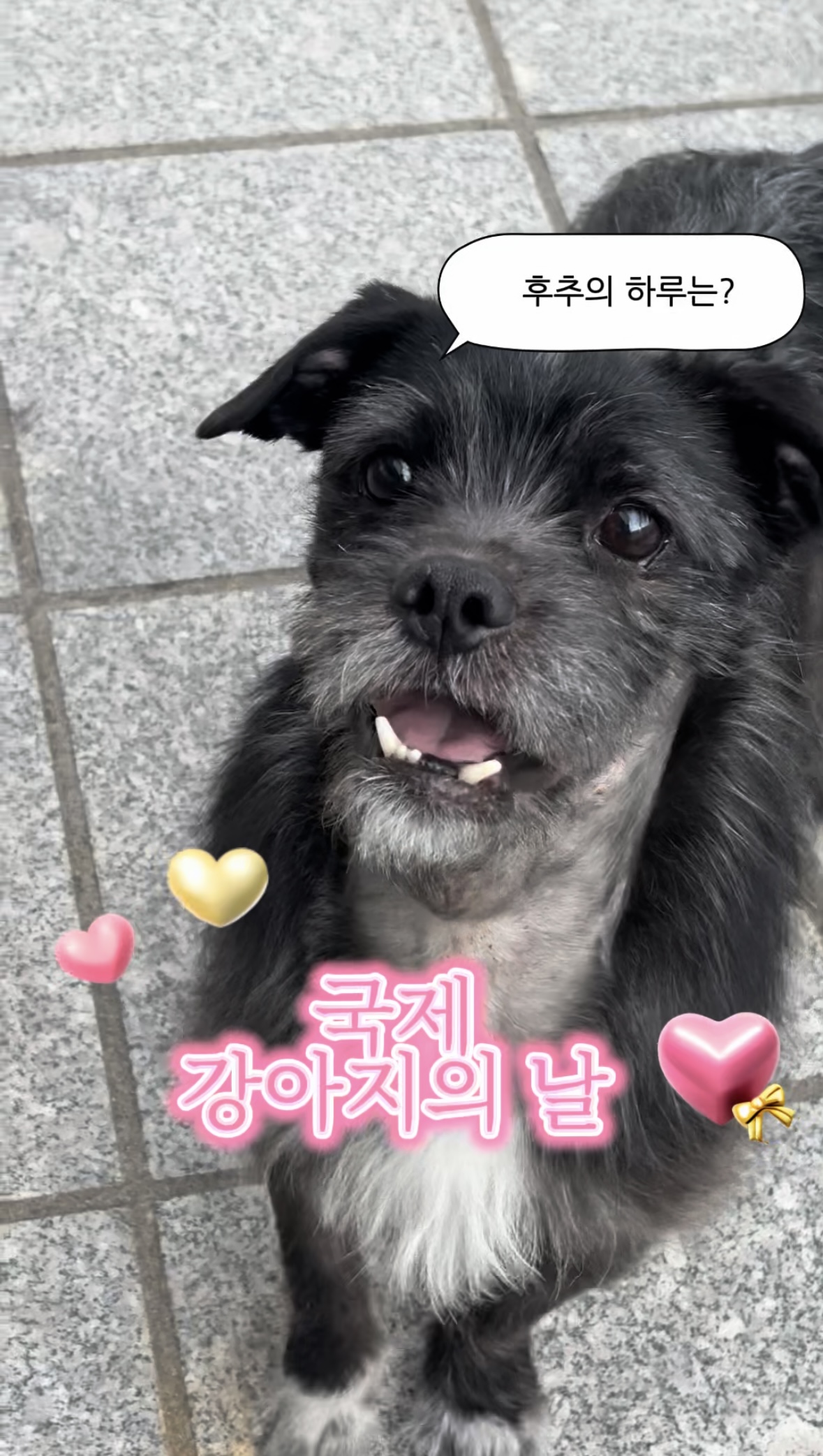 b5857cfd9be2bed062b067293424b60d_1774255351_4475.jpg b5857cfd9be2bed062b067293424b60d_1774255351_4475.jpg