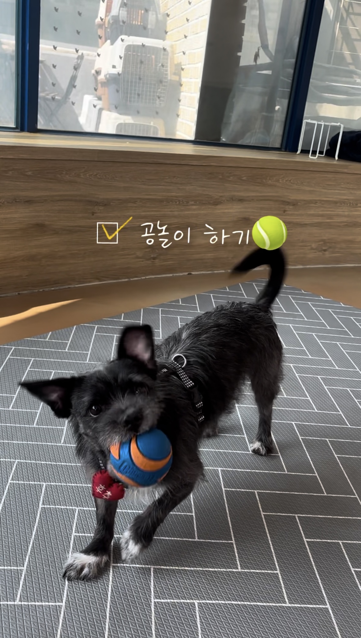 b5857cfd9be2bed062b067293424b60d_1774255355_0215.jpg b5857cfd9be2bed062b067293424b60d_1774255355_0215.jpg