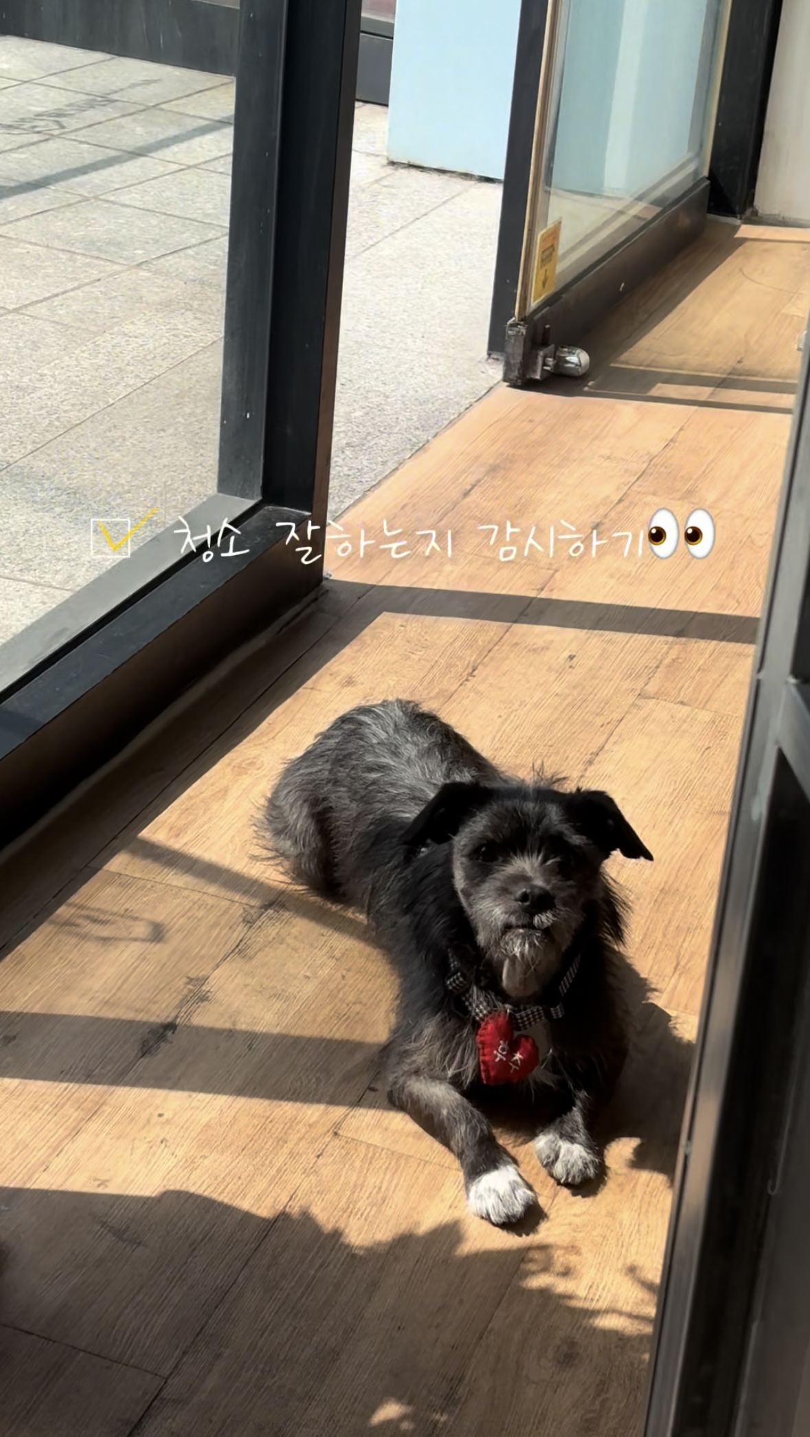 b5857cfd9be2bed062b067293424b60d_1774255356_7087.jpg b5857cfd9be2bed062b067293424b60d_1774255356_7087.jpg