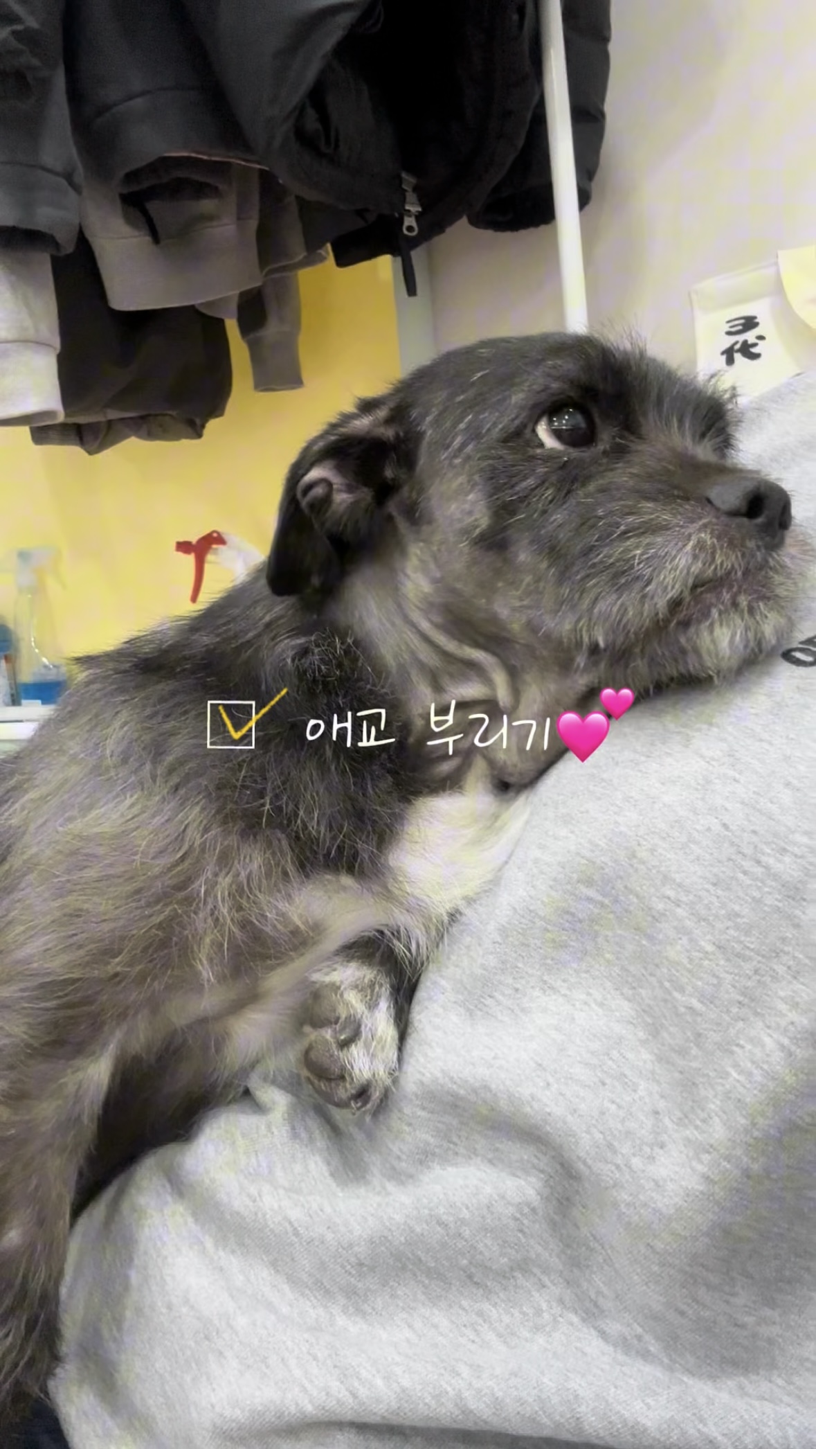 b5857cfd9be2bed062b067293424b60d_1774255358_6909.jpg b5857cfd9be2bed062b067293424b60d_1774255358_6909.jpg