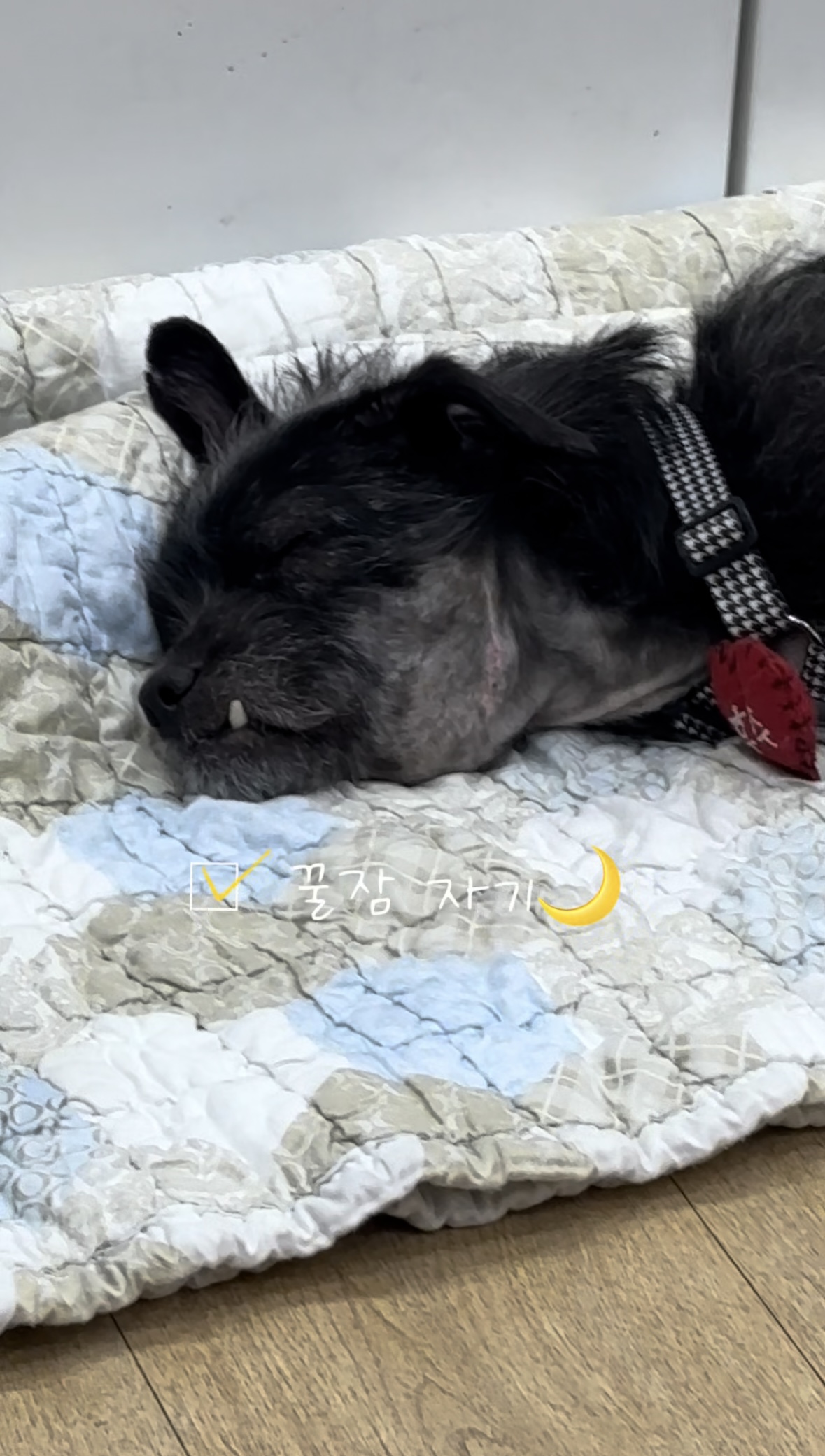 b5857cfd9be2bed062b067293424b60d_1774255380_3397.jpg b5857cfd9be2bed062b067293424b60d_1774255380_3397.jpg