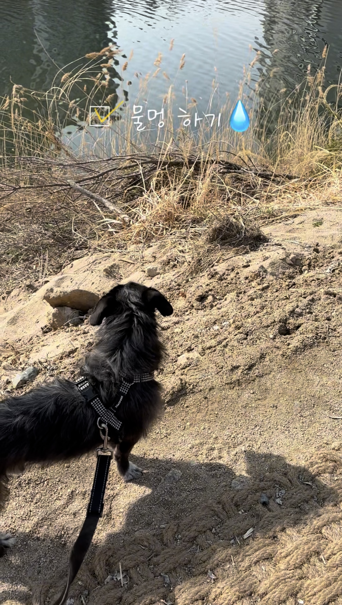 b5857cfd9be2bed062b067293424b60d_1774255381_6285.jpg b5857cfd9be2bed062b067293424b60d_1774255381_6285.jpg