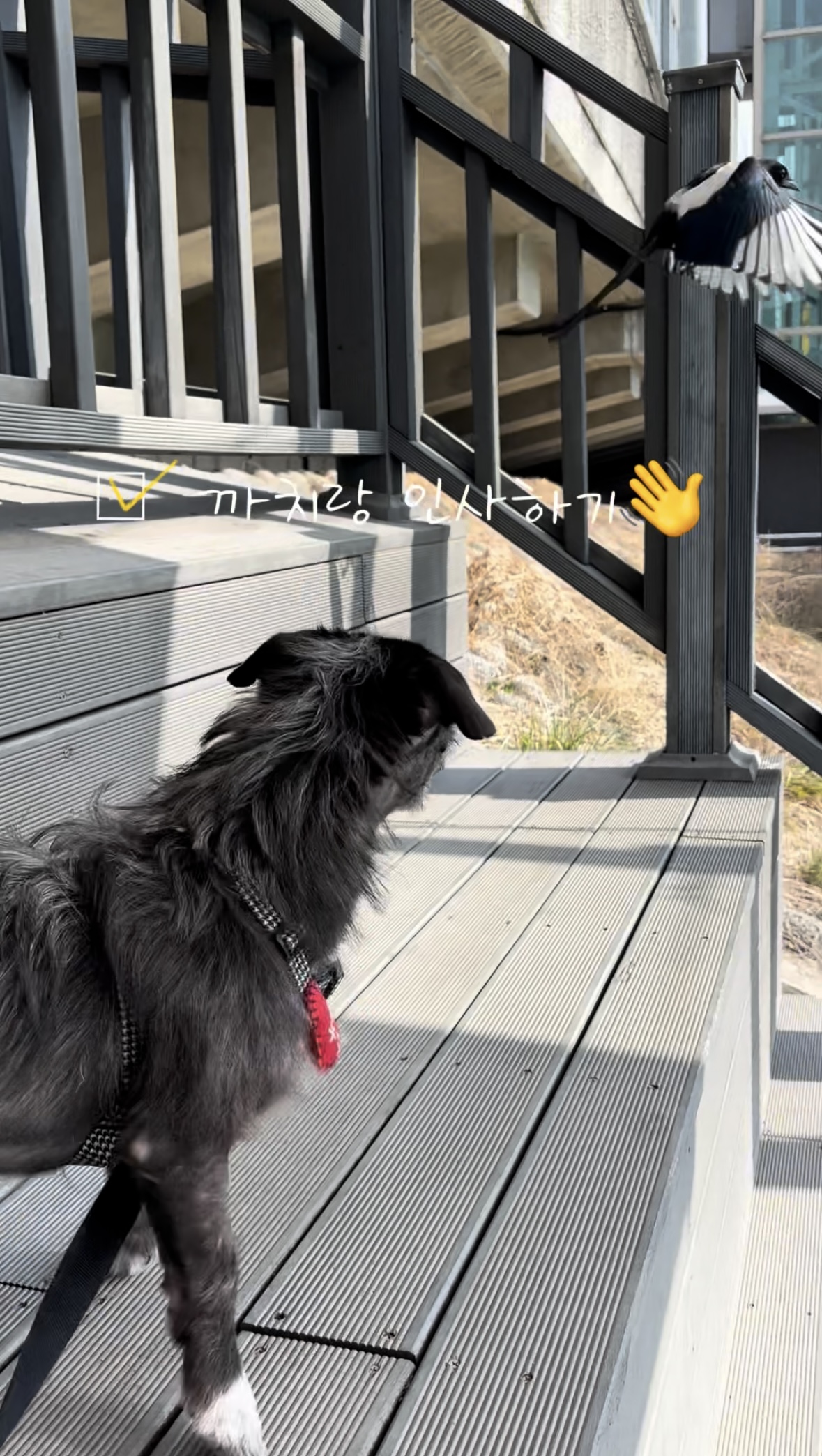 b5857cfd9be2bed062b067293424b60d_1774255383_03.jpg b5857cfd9be2bed062b067293424b60d_1774255383_03.jpg