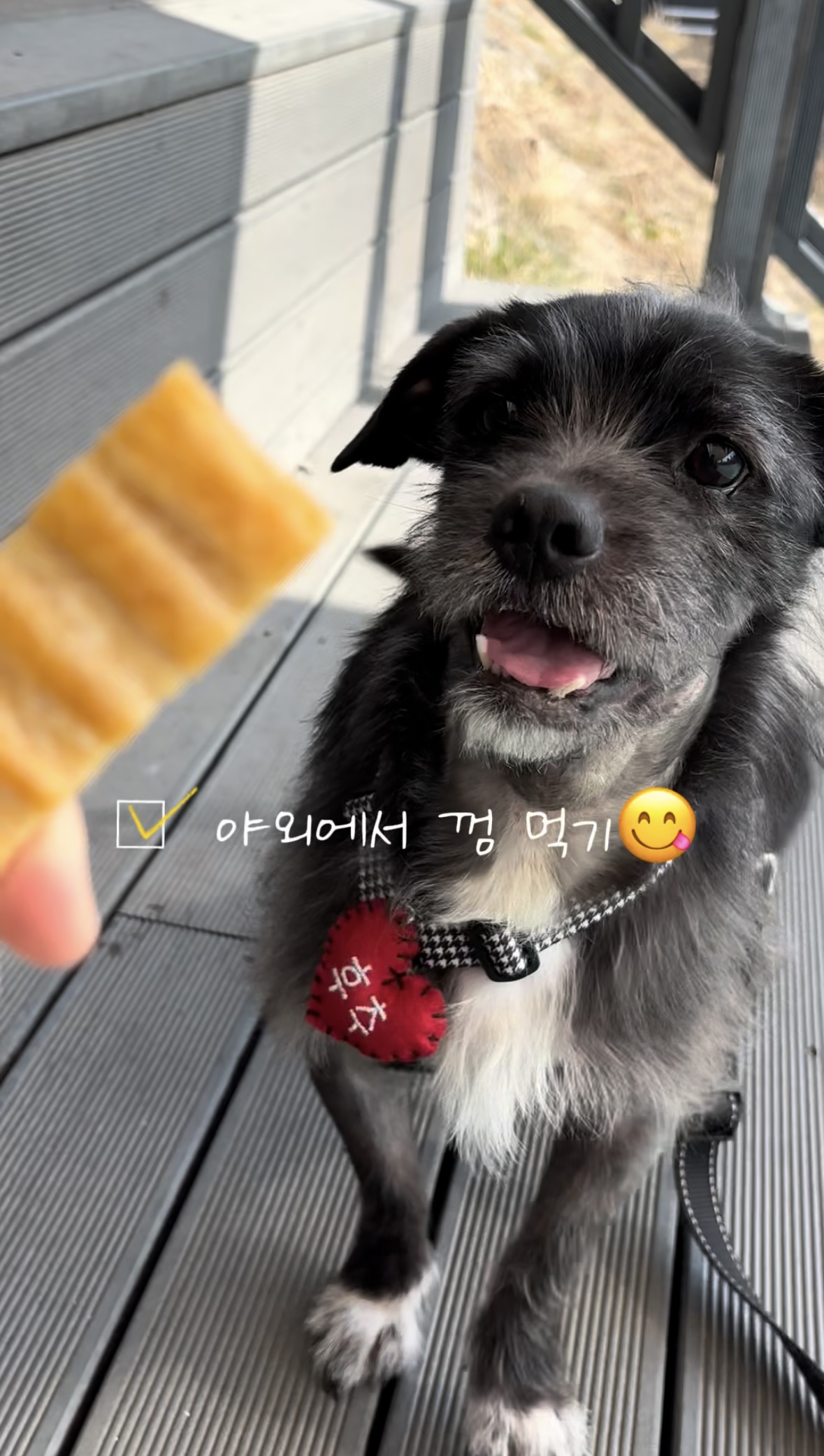 b5857cfd9be2bed062b067293424b60d_1774255384_3495.jpg b5857cfd9be2bed062b067293424b60d_1774255384_3495.jpg