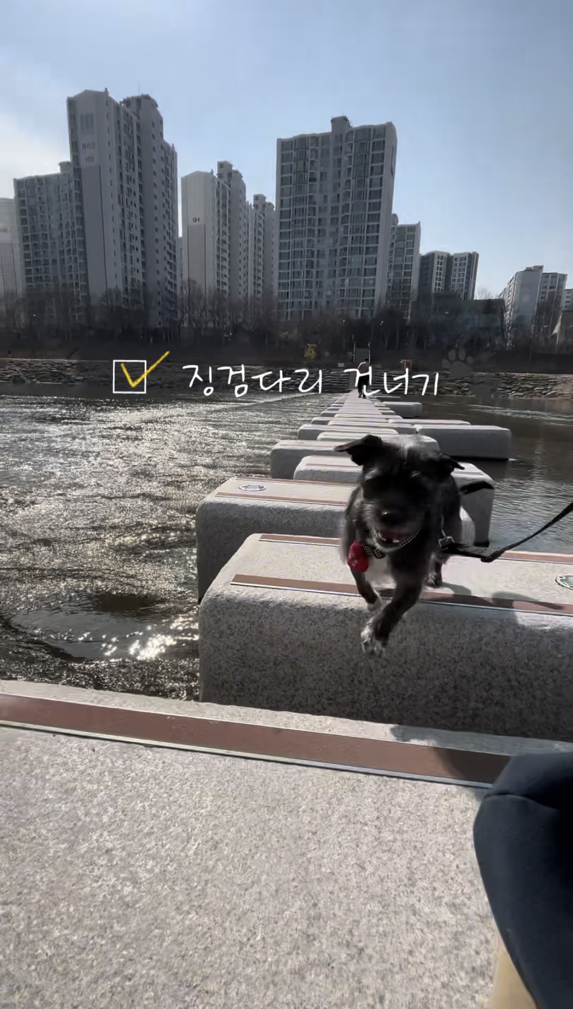 b5857cfd9be2bed062b067293424b60d_1774255386_2276.jpg b5857cfd9be2bed062b067293424b60d_1774255386_2276.jpg