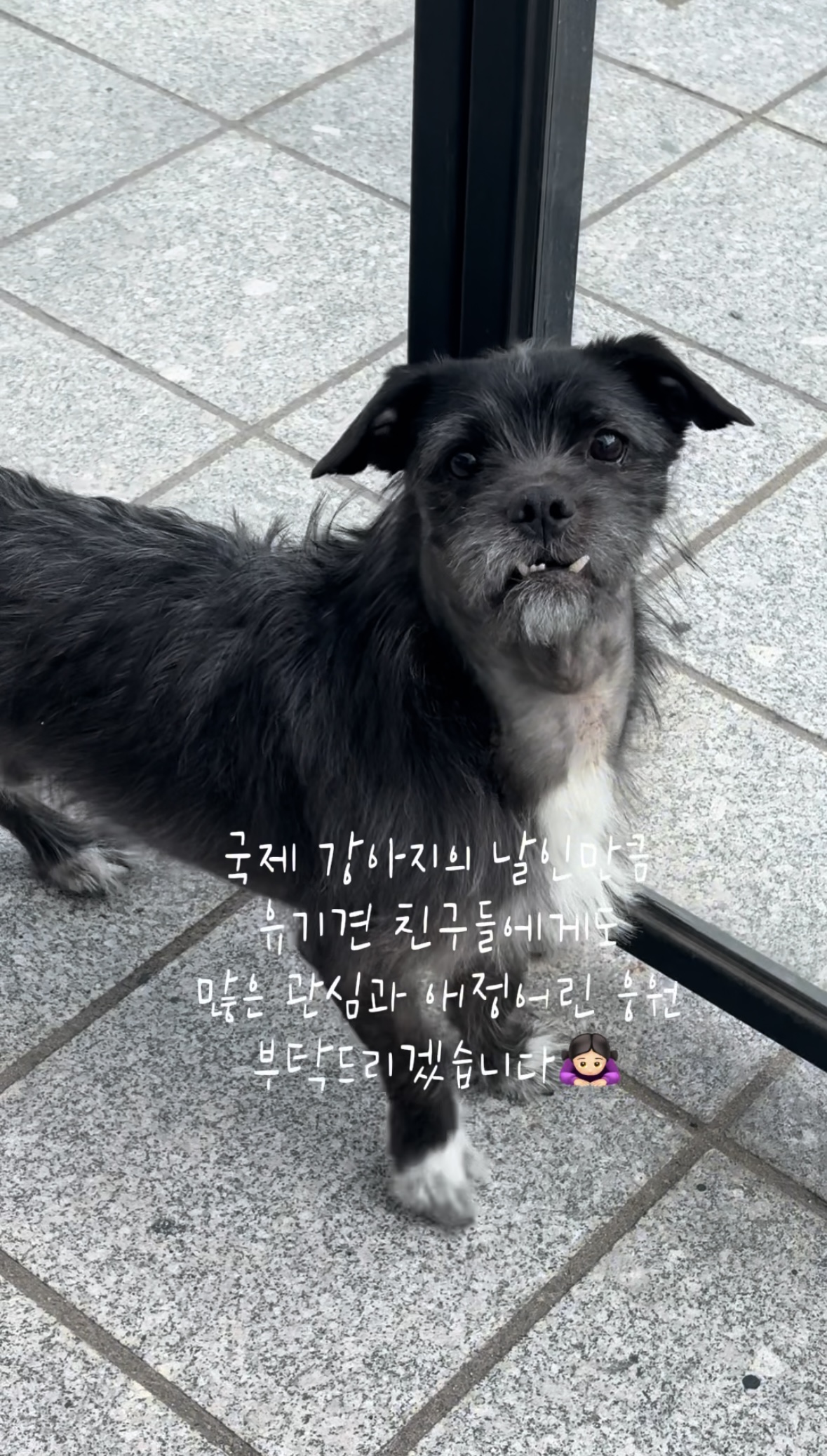 b5857cfd9be2bed062b067293424b60d_1774255439_2854.jpg b5857cfd9be2bed062b067293424b60d_1774255439_2854.jpg