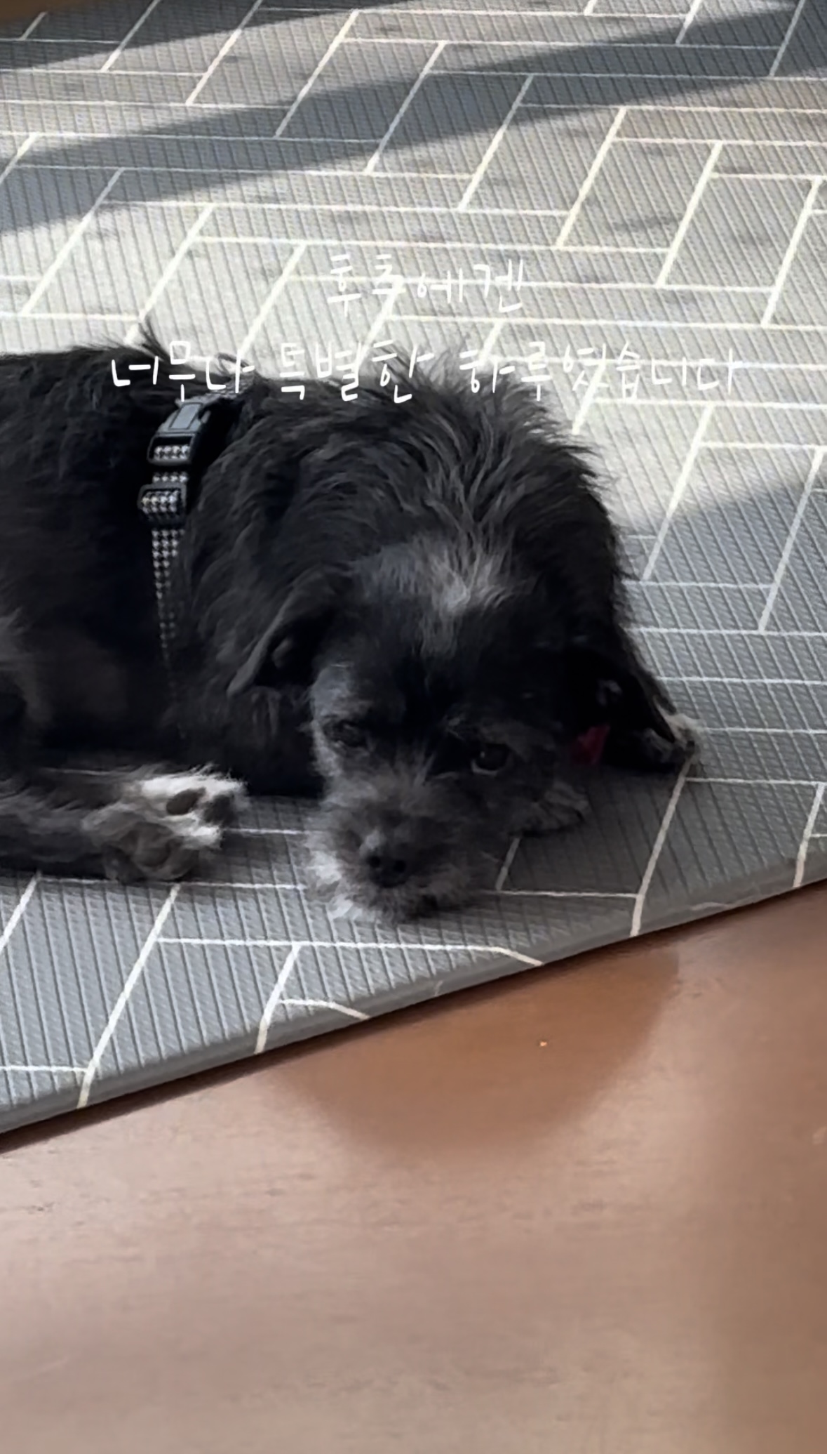 b5857cfd9be2bed062b067293424b60d_1774255440_6277.jpg b5857cfd9be2bed062b067293424b60d_1774255440_6277.jpg