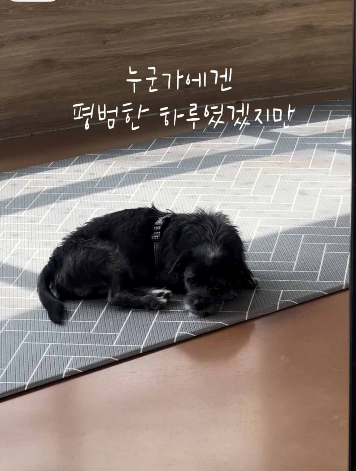 b5857cfd9be2bed062b067293424b60d_1774255441_9525.jpg b5857cfd9be2bed062b067293424b60d_1774255441_9525.jpg