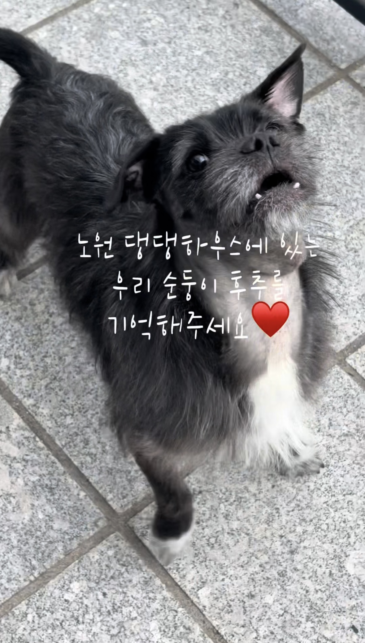 b5857cfd9be2bed062b067293424b60d_1774255443_6579.jpg b5857cfd9be2bed062b067293424b60d_1774255443_6579.jpg