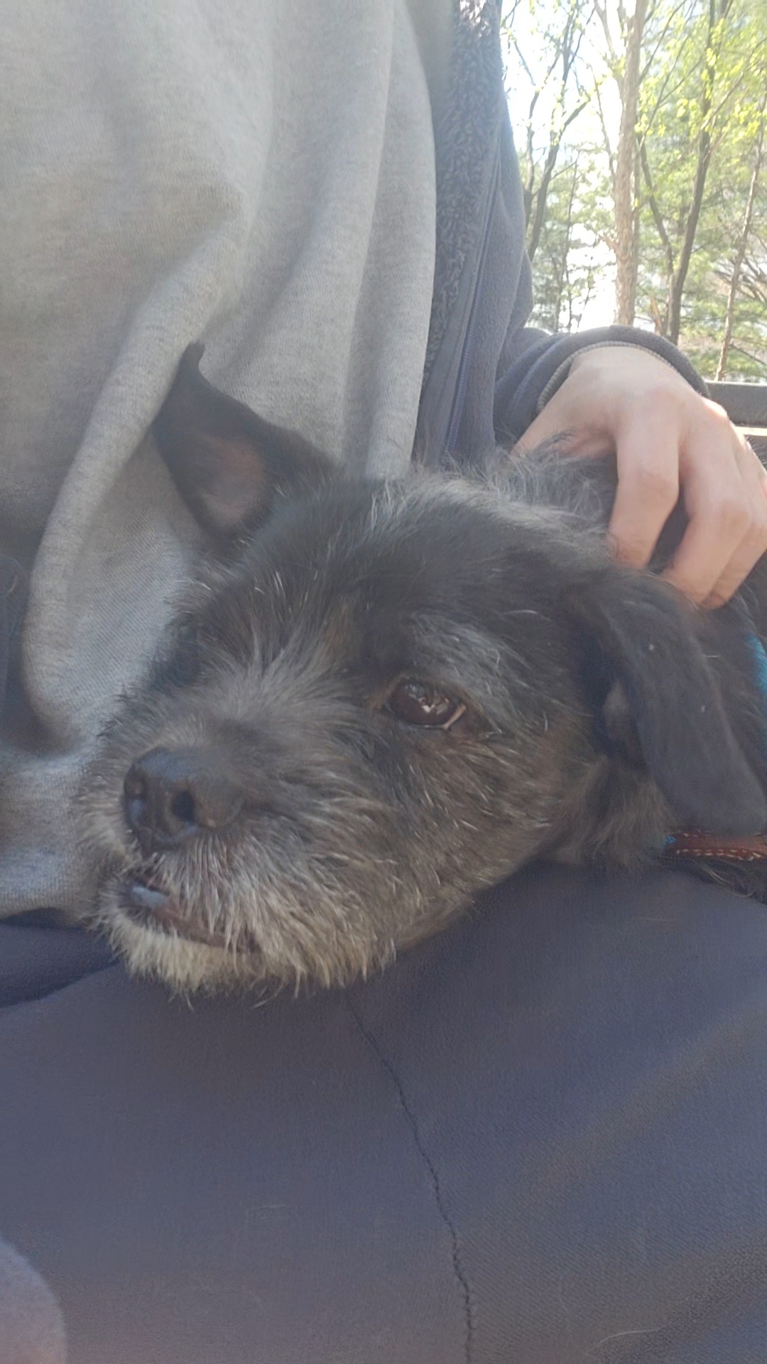 9333301089e8c0a0803f643b381249dd_1776141660_4222.jpg 9333301089e8c0a0803f643b381249dd_1776141660_4222.jpg