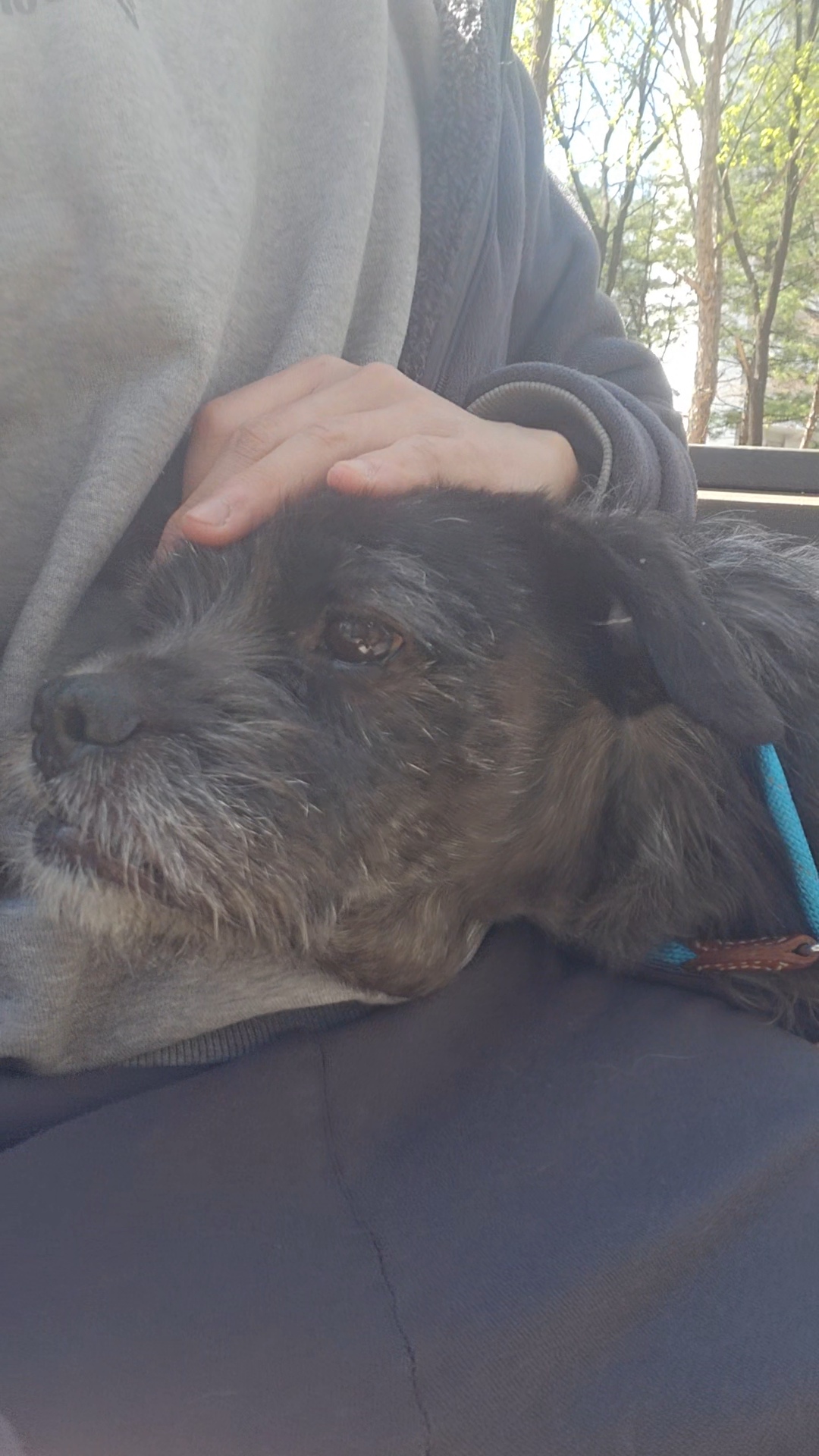 9333301089e8c0a0803f643b381249dd_1776141661_7434.jpg 9333301089e8c0a0803f643b381249dd_1776141661_7434.jpg