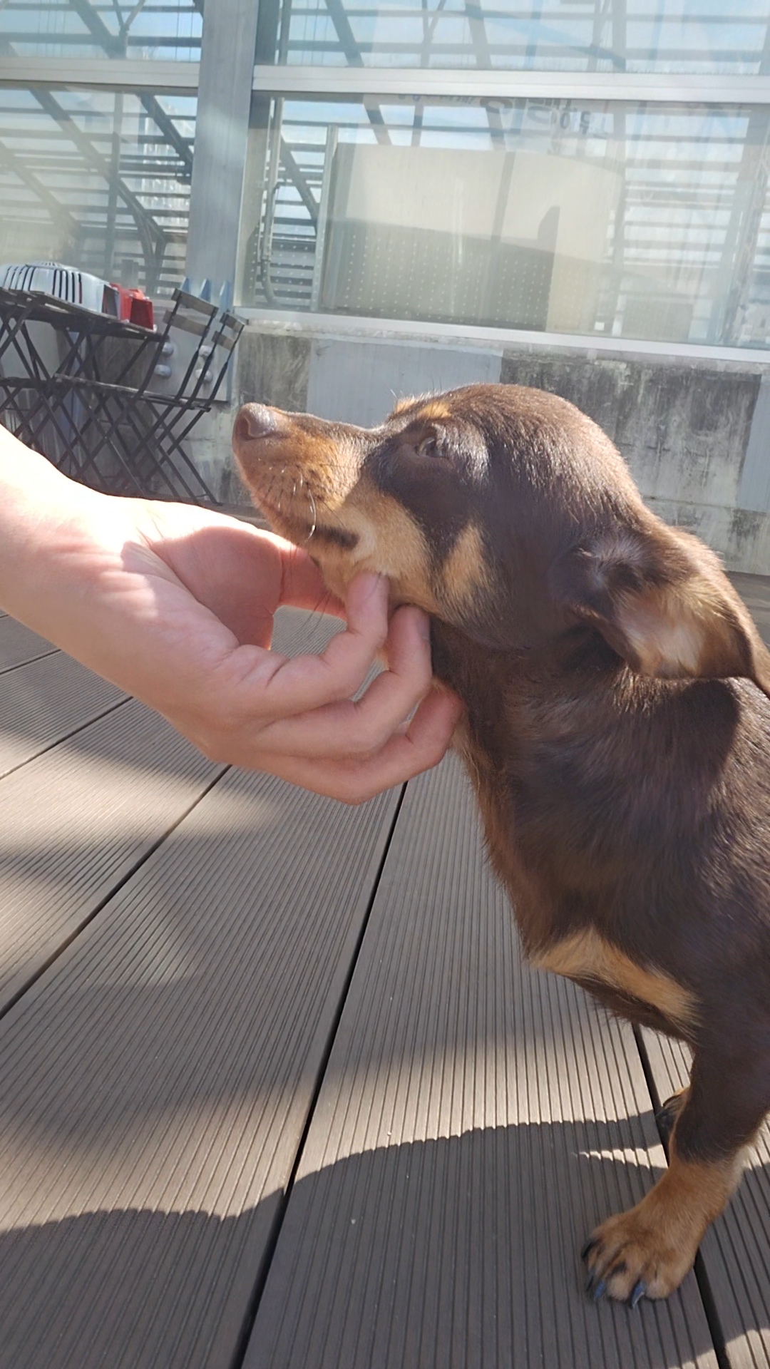 9333301089e8c0a0803f643b381249dd_1776141663_1251.jpg 9333301089e8c0a0803f643b381249dd_1776141663_1251.jpg