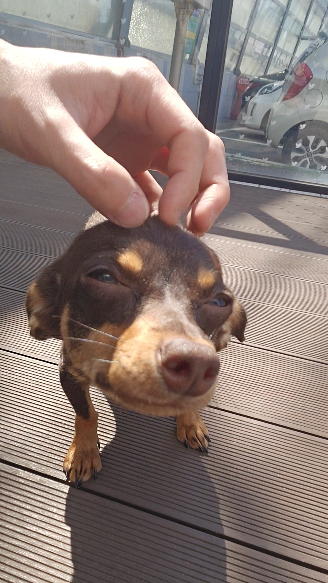 9333301089e8c0a0803f643b381249dd_1776141664_4638.jpg 9333301089e8c0a0803f643b381249dd_1776141664_4638.jpg