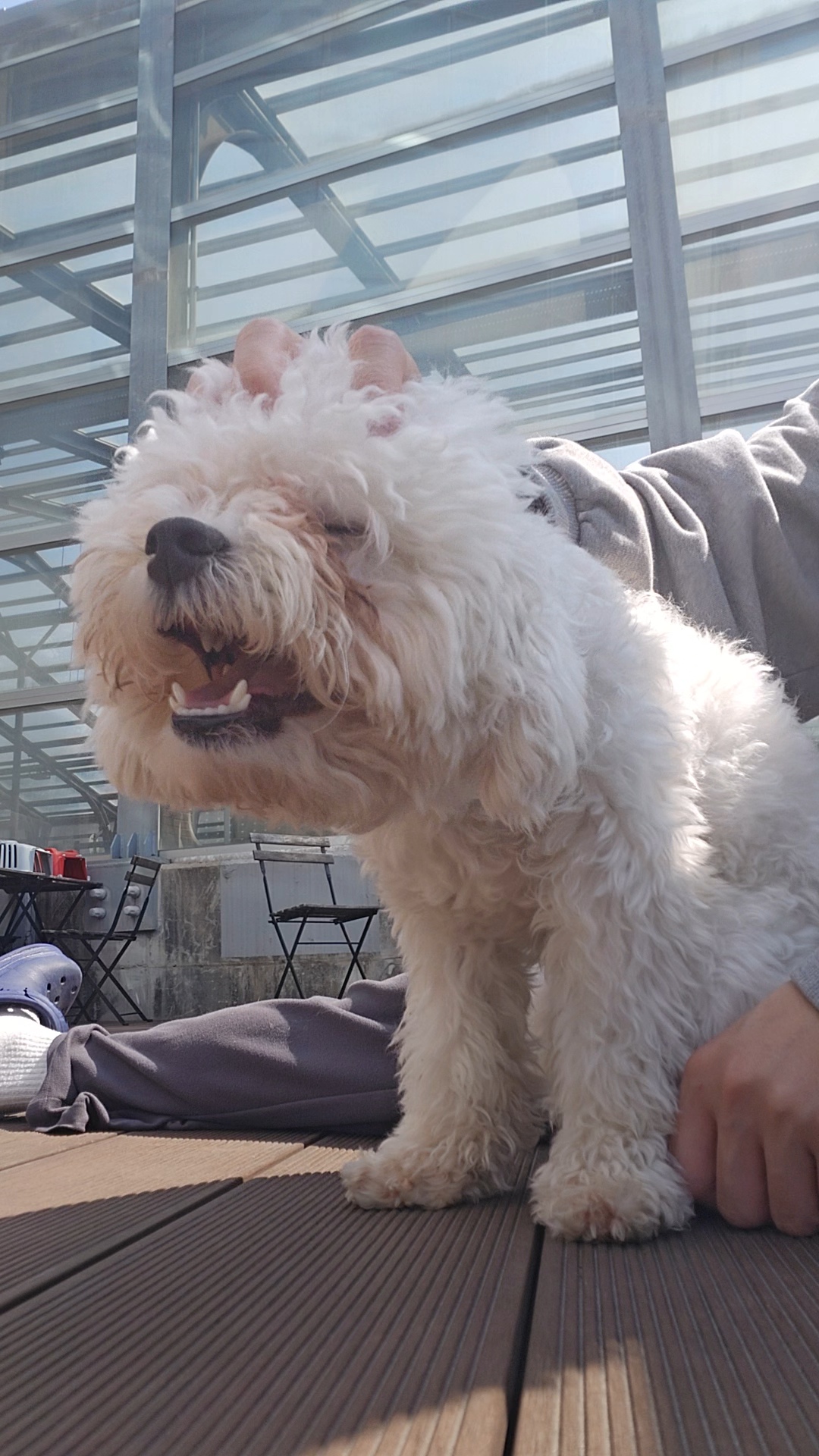 9333301089e8c0a0803f643b381249dd_1776141665_8599.jpg 9333301089e8c0a0803f643b381249dd_1776141665_8599.jpg