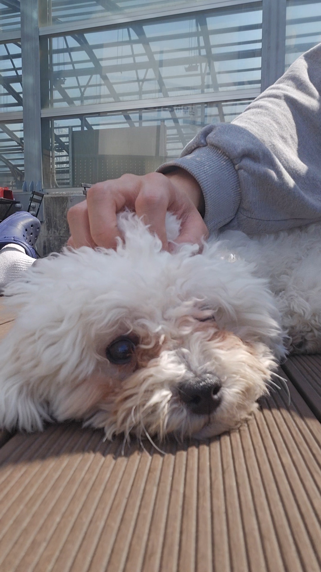 9333301089e8c0a0803f643b381249dd_1776141668_3422.jpg 9333301089e8c0a0803f643b381249dd_1776141668_3422.jpg