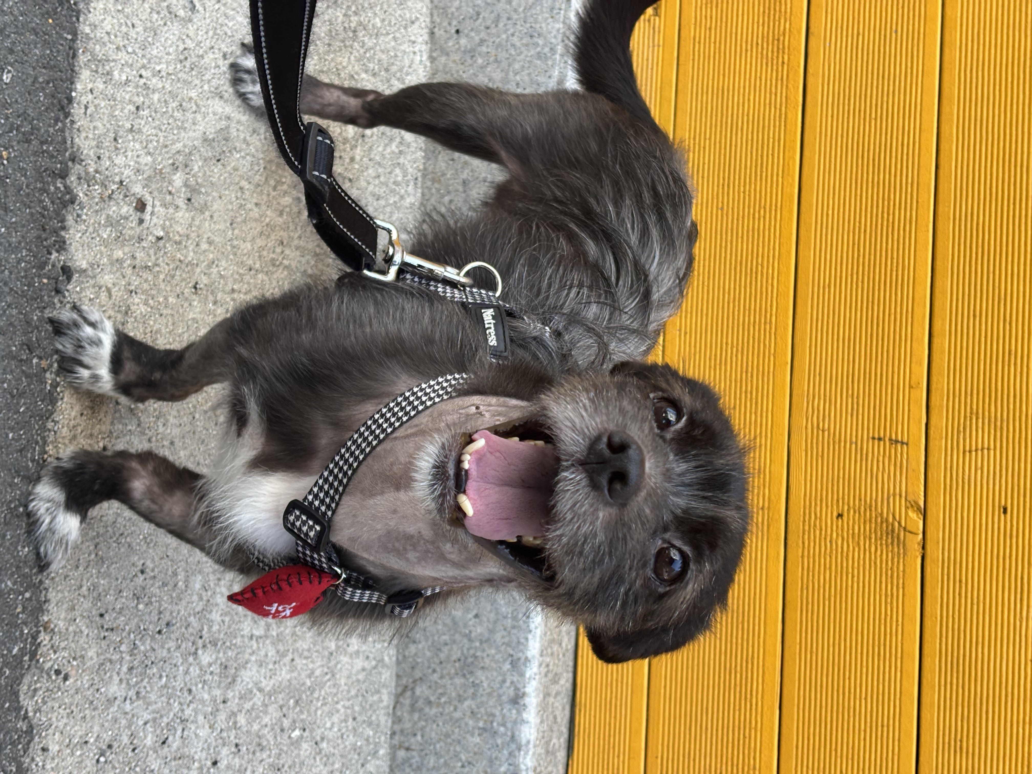 699fa0987764bbf5316022a2c54985a7_1781253889_7777.jpg